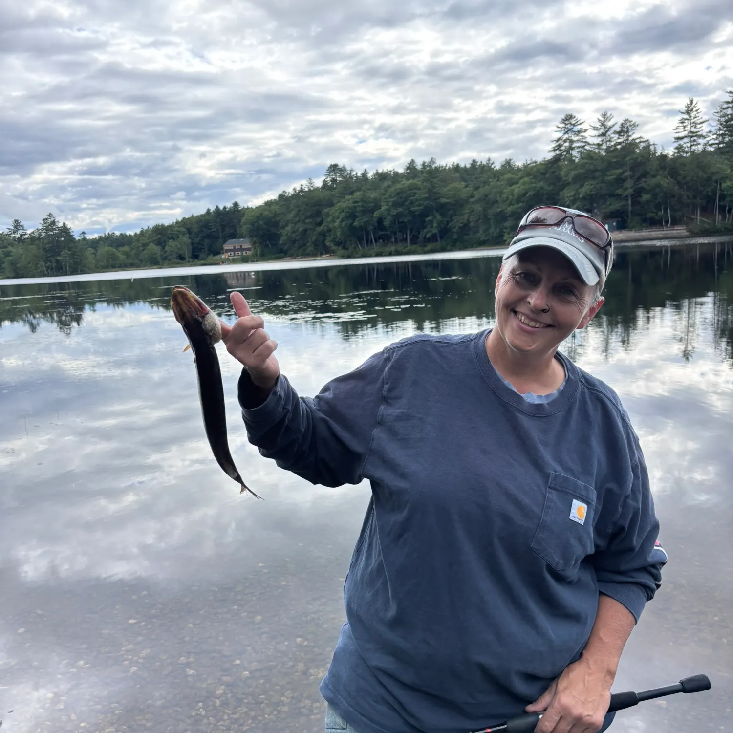 Chain pickerel caught on Fishbrain