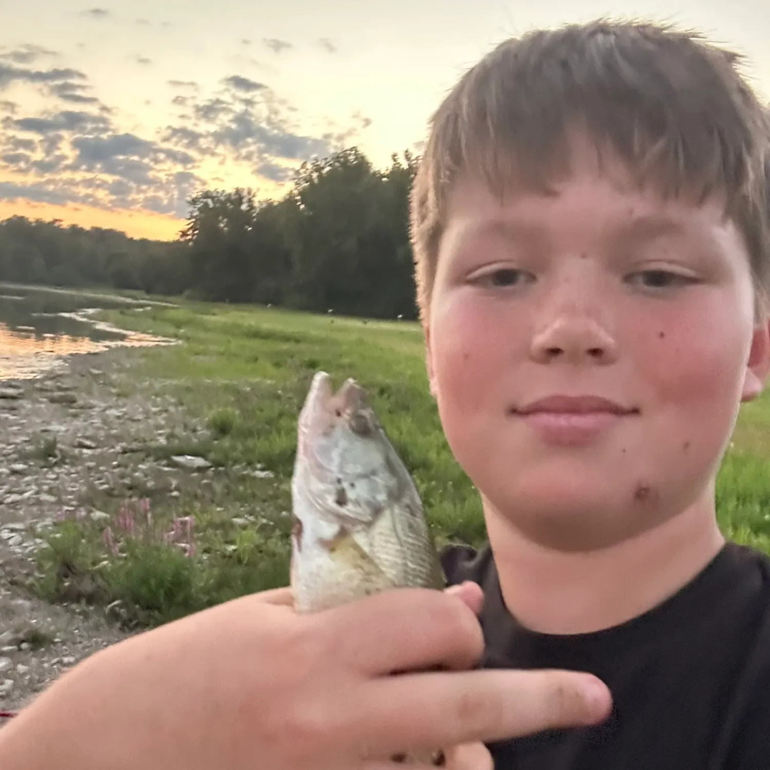 Smallmouth bass caught on Fishbrain