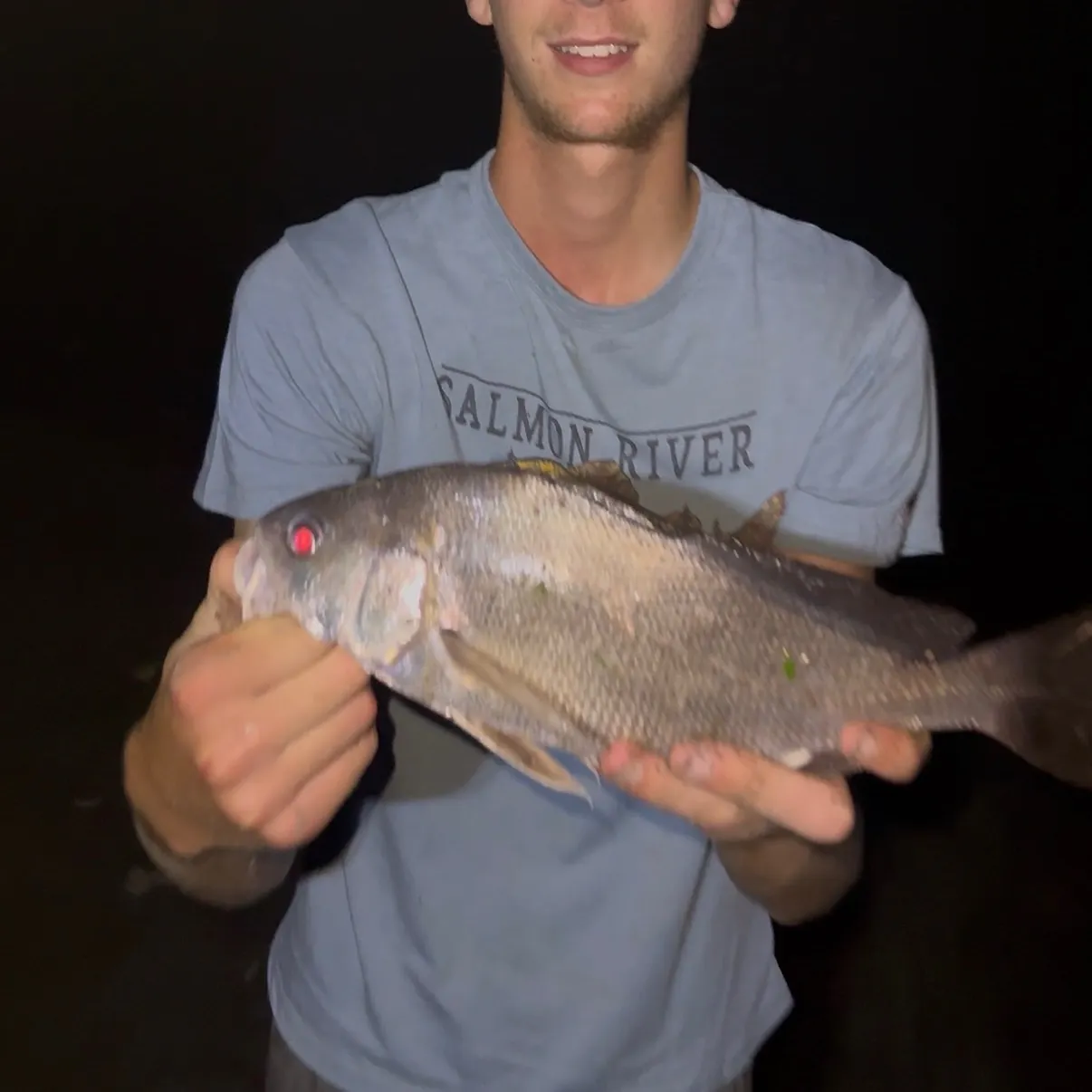 Freshwater drum caught on Fishbrain