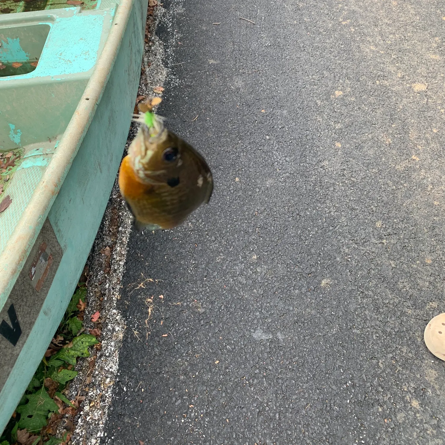 catch