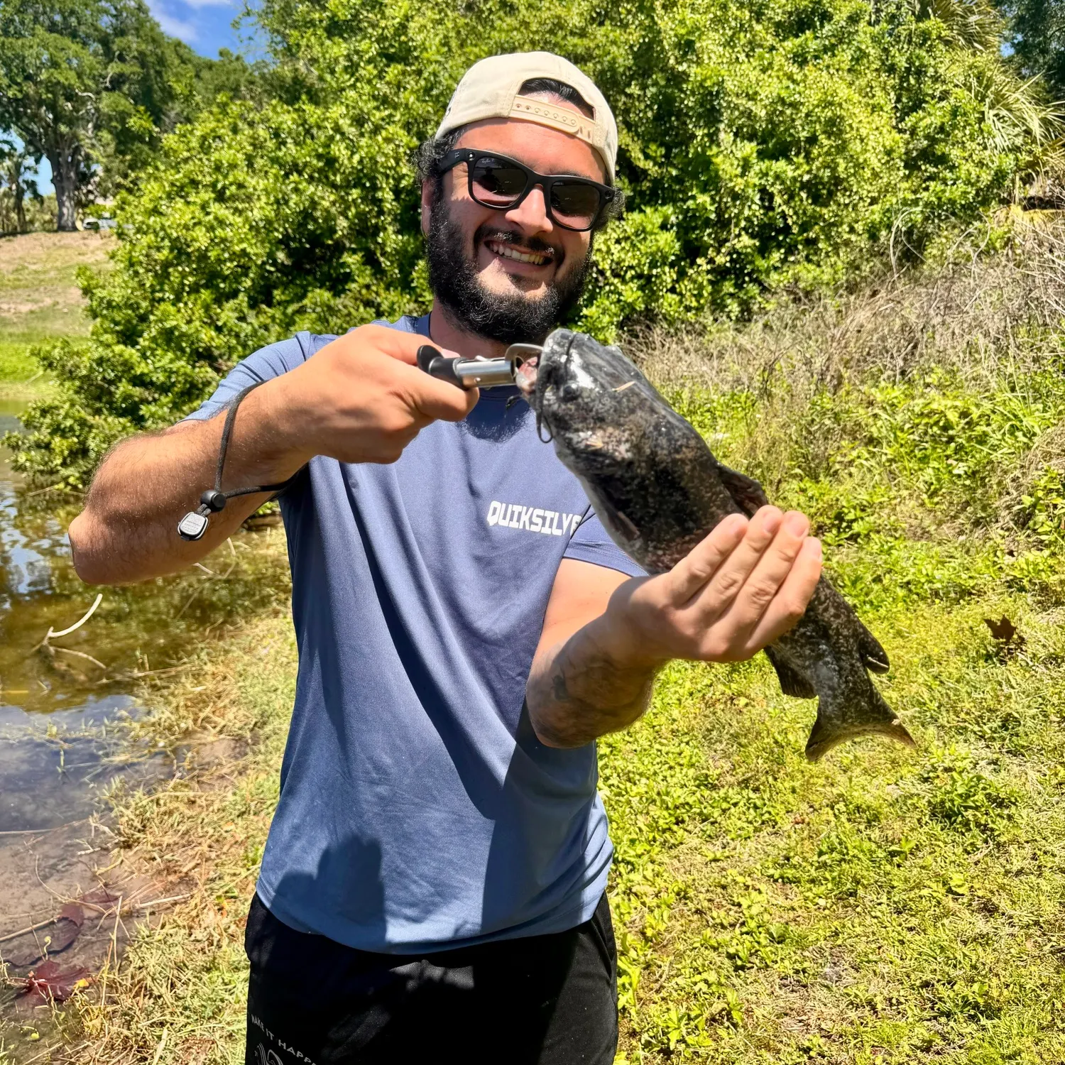 The most recent Amur catfish catches on Fishbrain