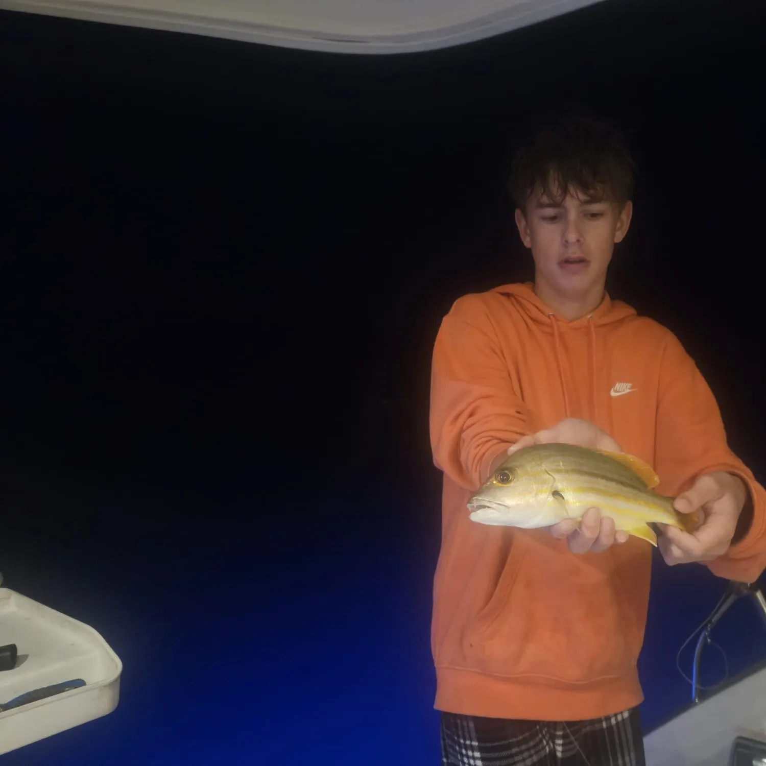 The most recent Spanish flag snapper catches on Fishbrain