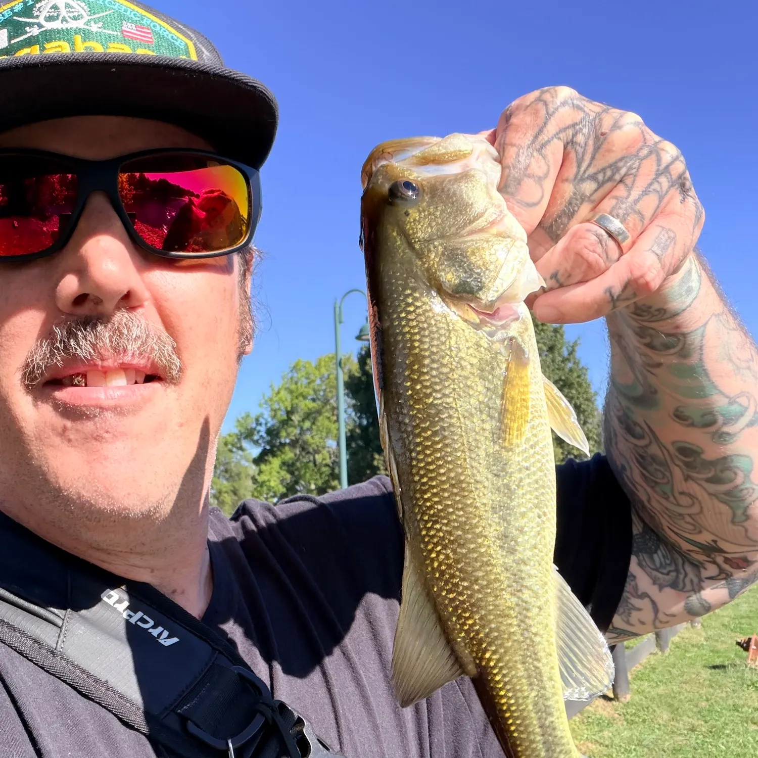 Largemouth bass caught on Fishbrain
