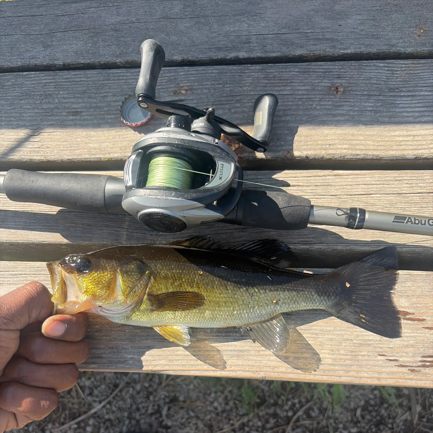 Largemouth bass caught on Fishbrain