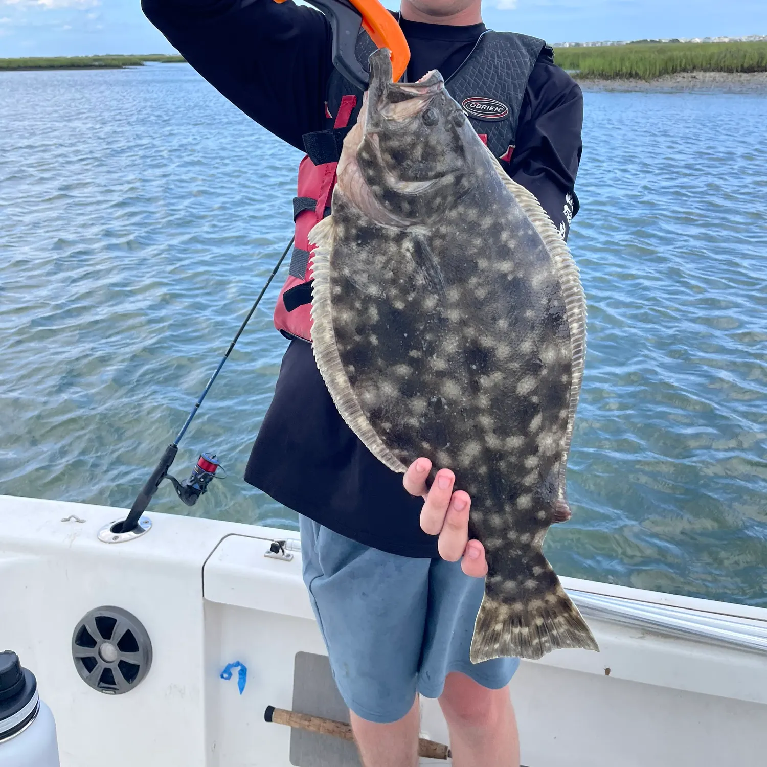 Summer flounder caught on Fishbrain