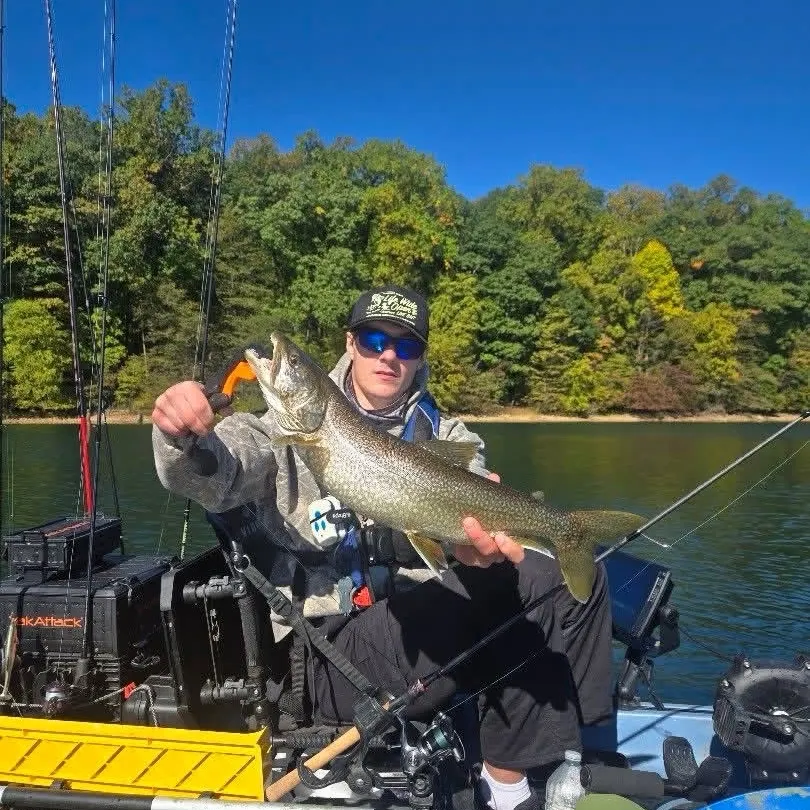 Lake char caught on Fishbrain