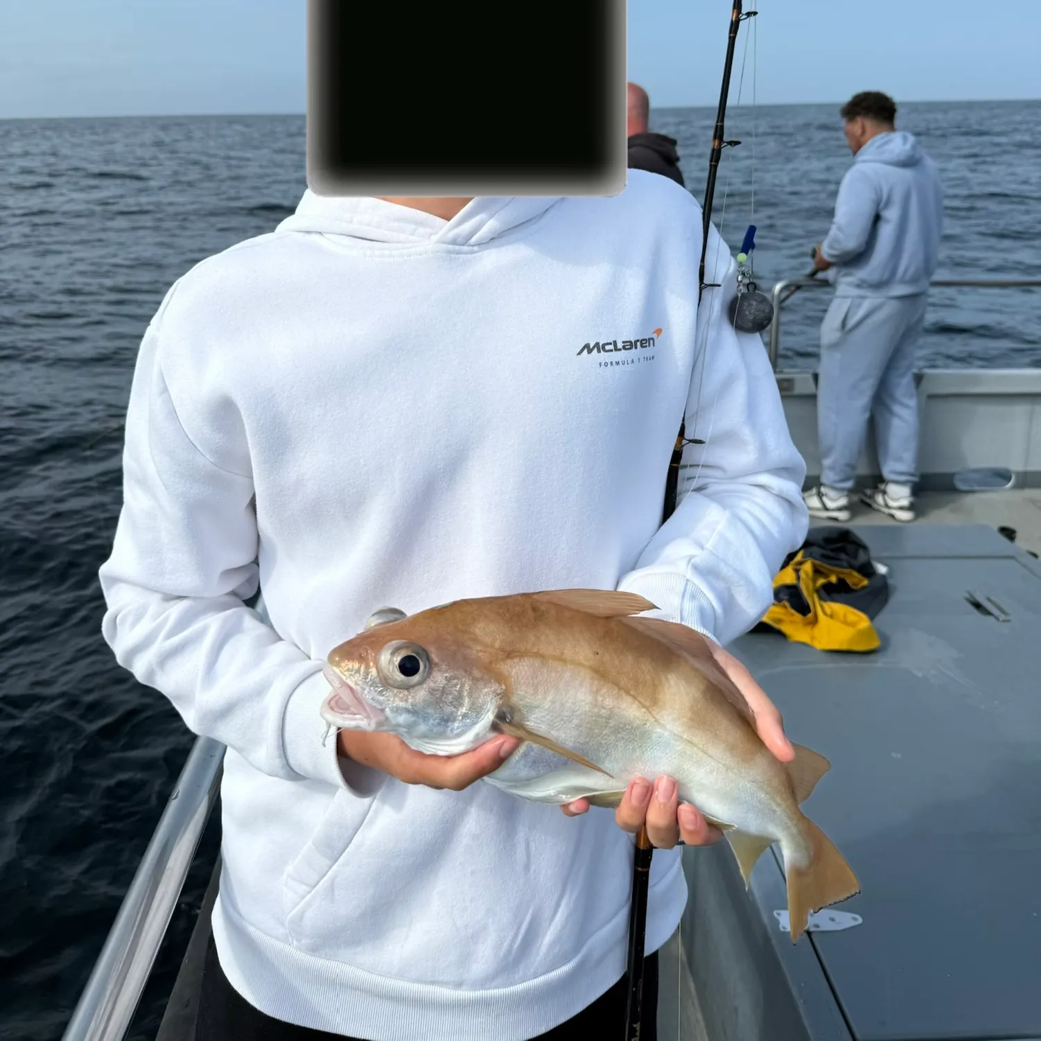 The most recent Pouting catches on Fishbrain