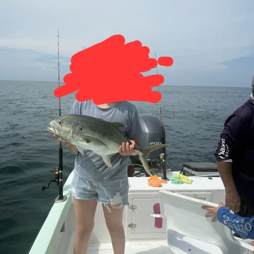 The most recent Blue runner catches on Fishbrain