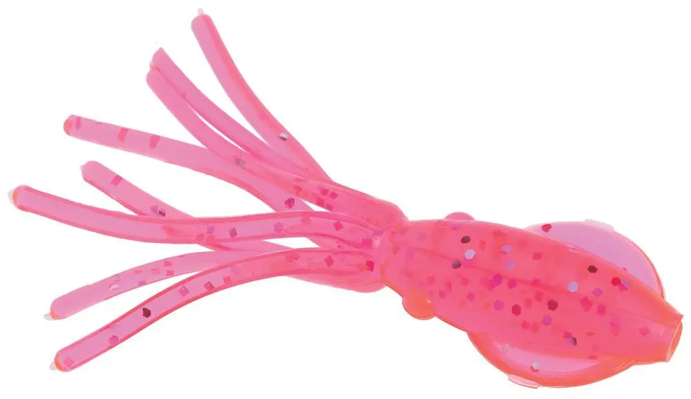 Squid