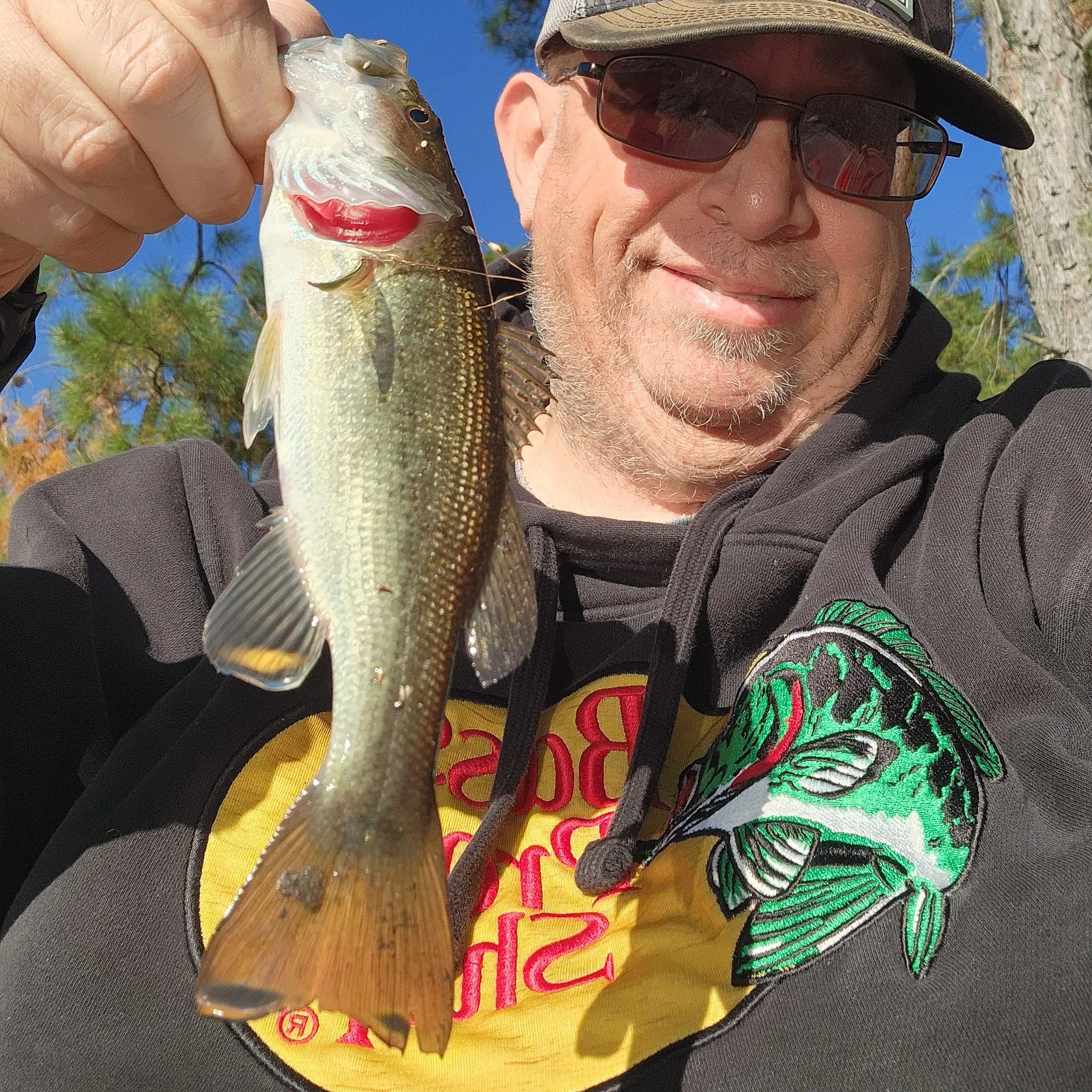 Largemouth bass caught on Fishbrain
