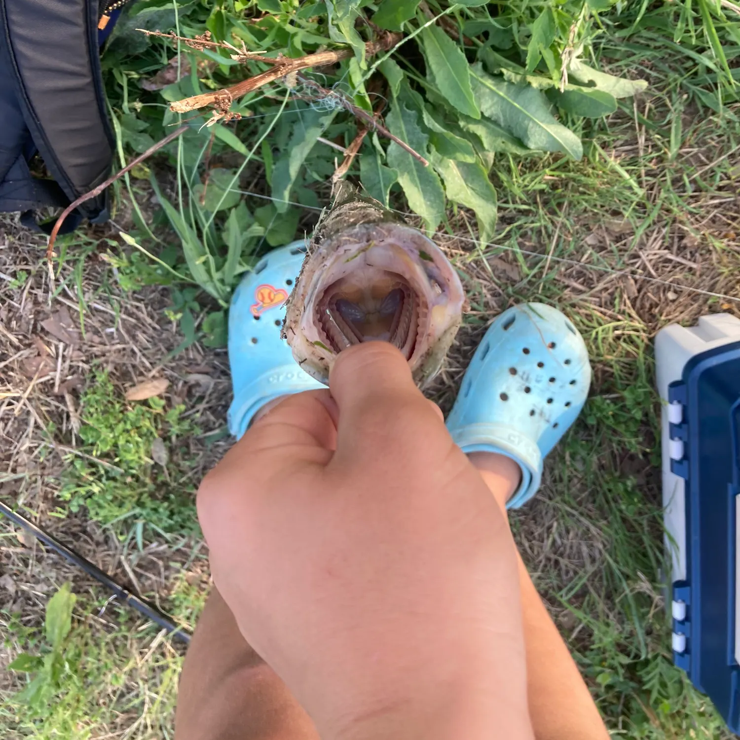 catch