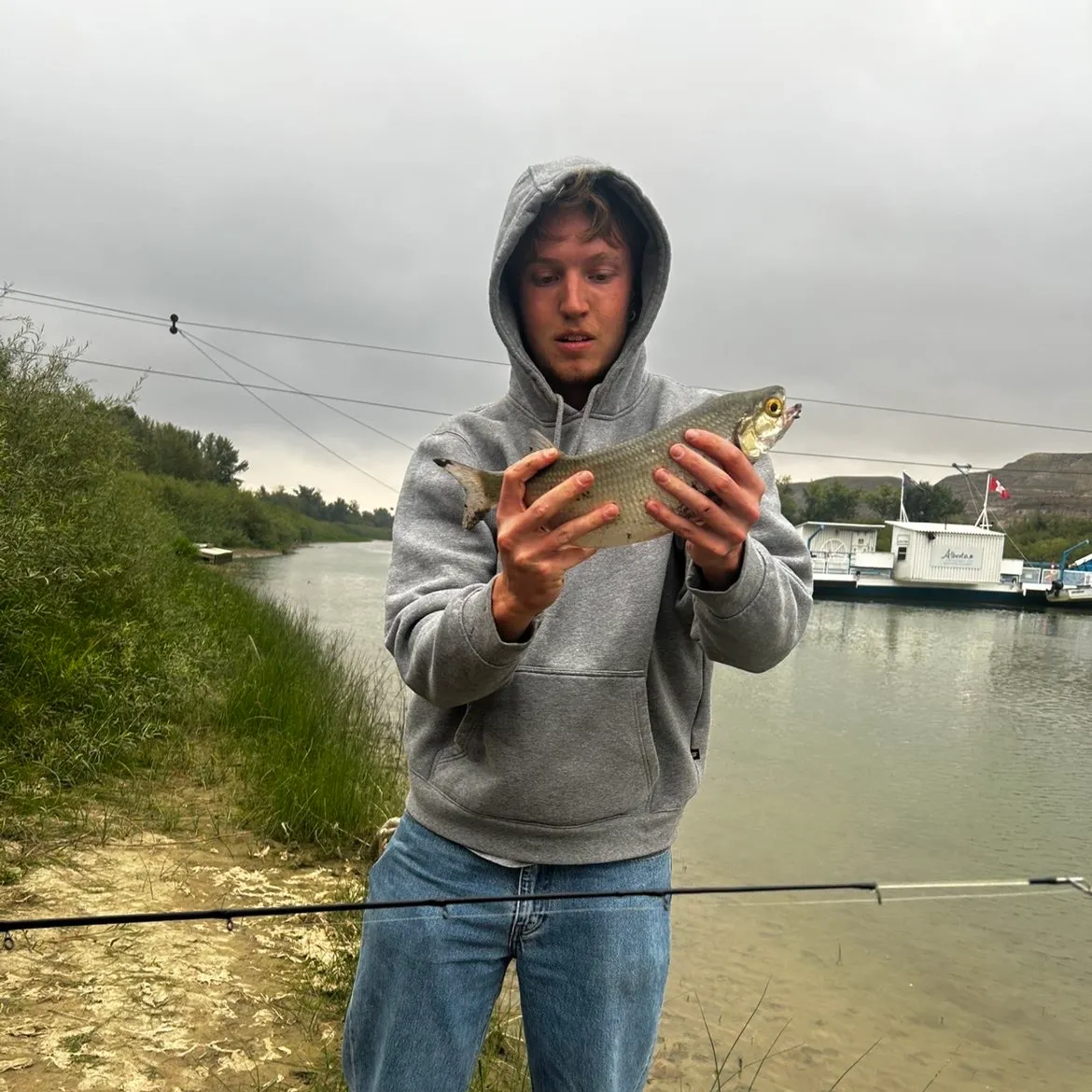 Goldeye caught on Fishbrain