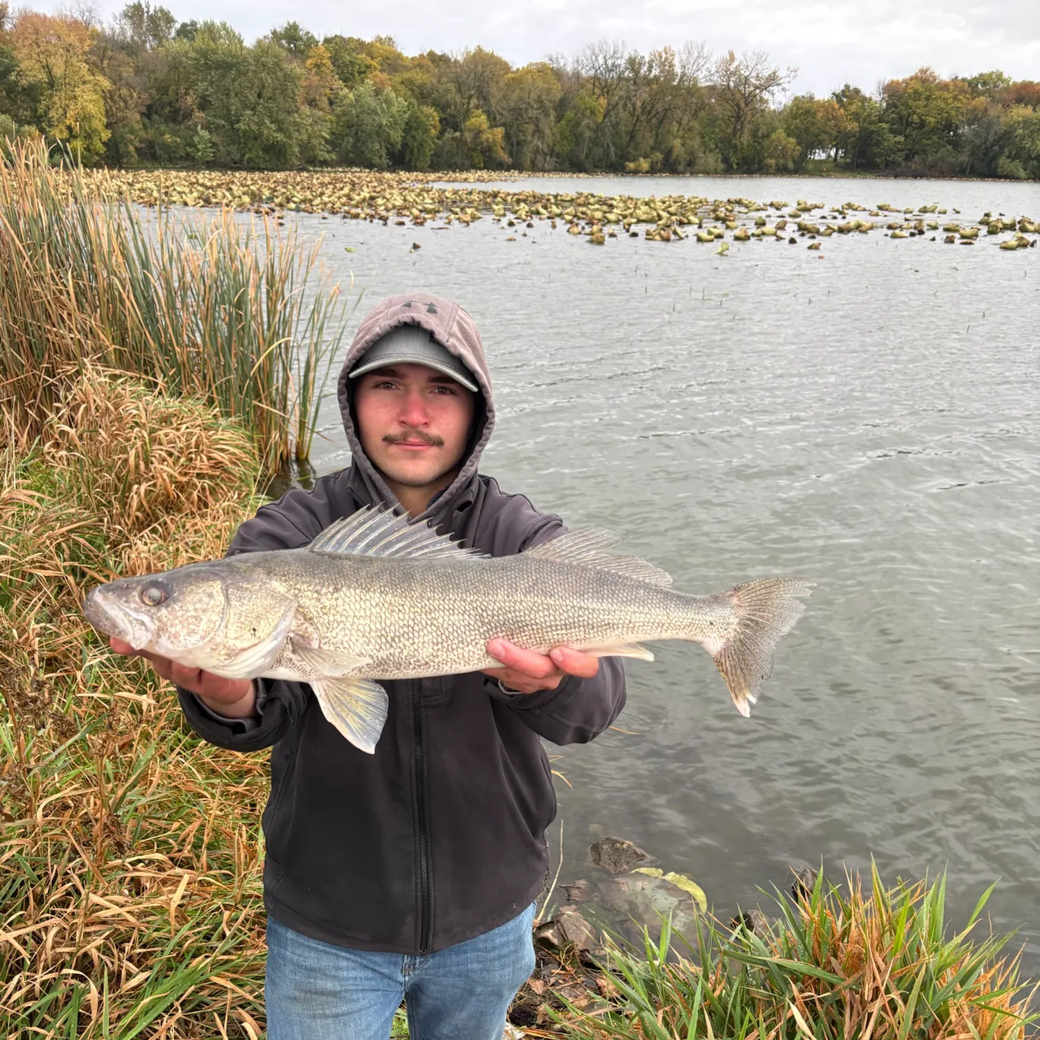 Walleye caught on Fishbrain