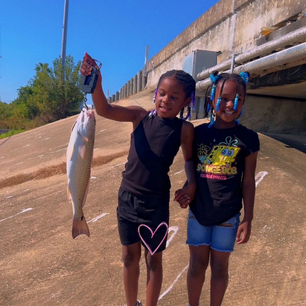 Red drum caught on Fishbrain