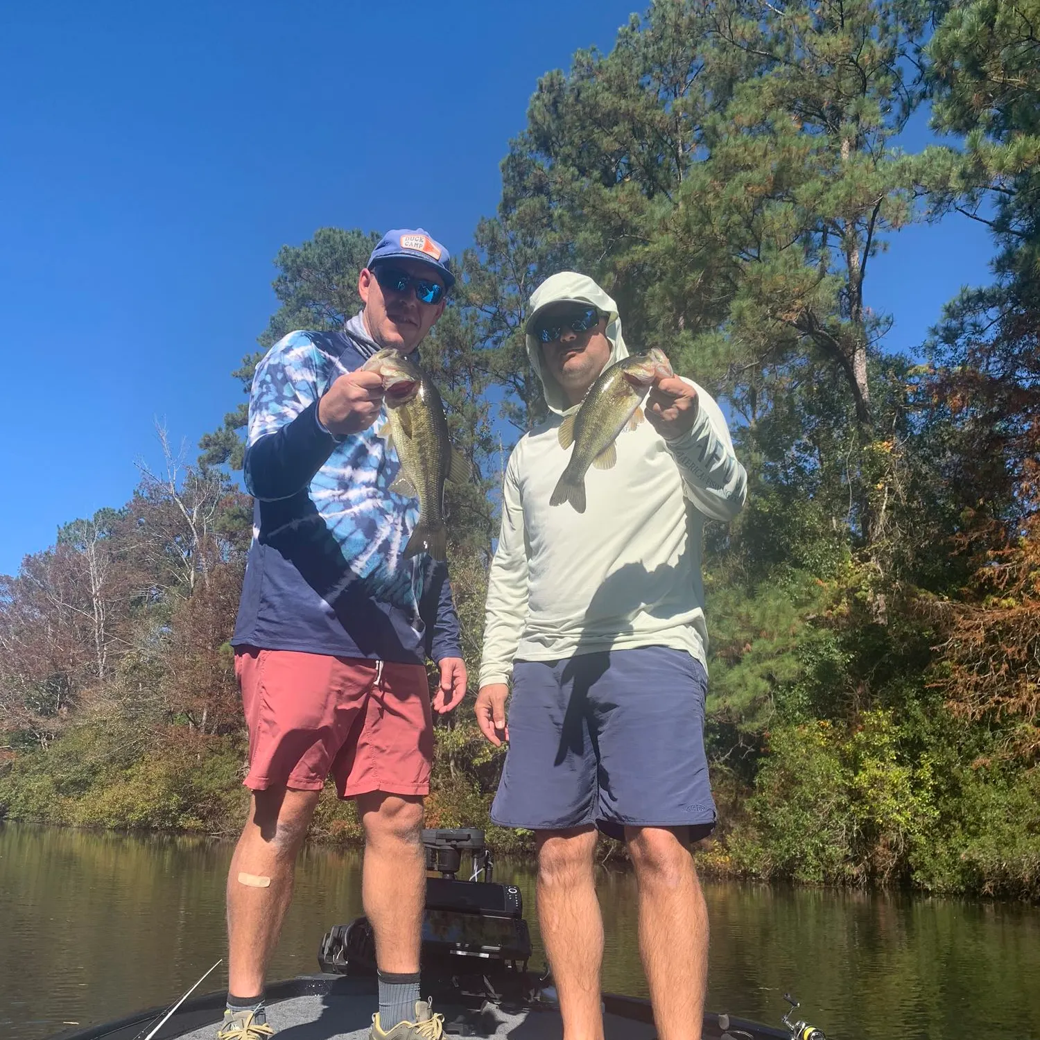 angler catch