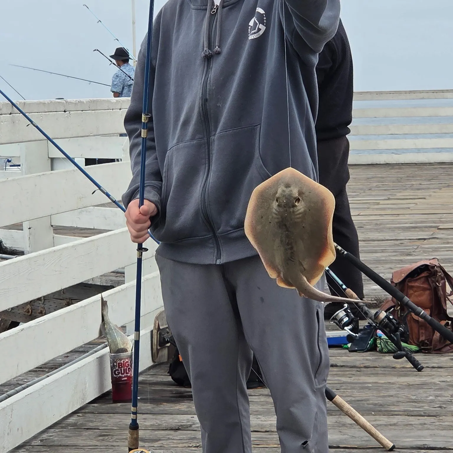 The most recent Pelagic stingray catches on Fishbrain
