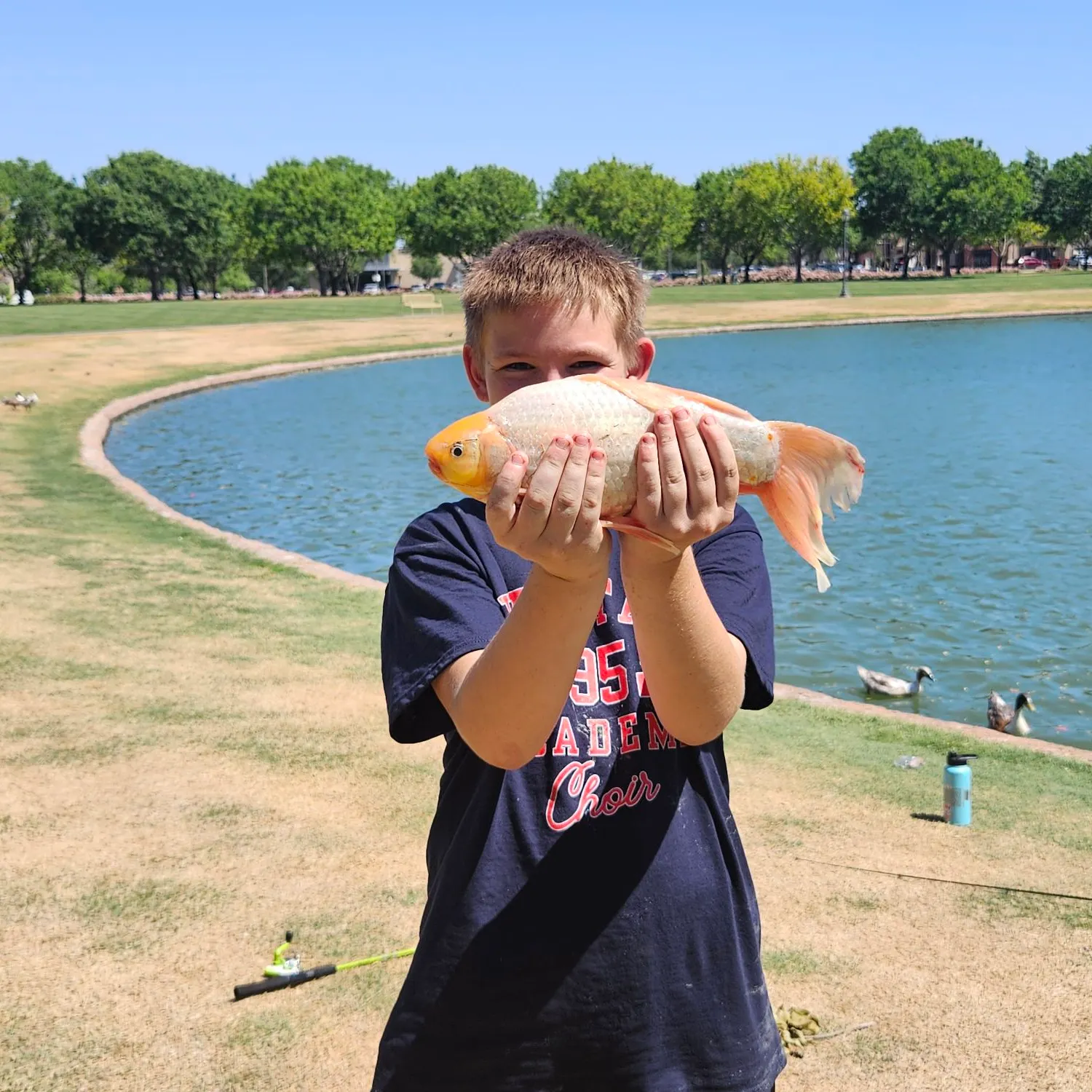 The most recent Goldfish catches on Fishbrain