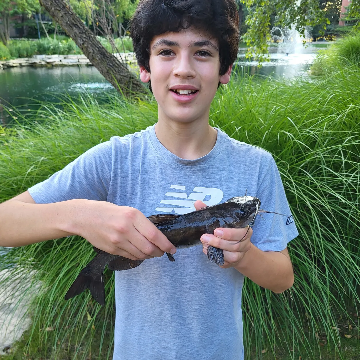 Channel catfish caught on Fishbrain