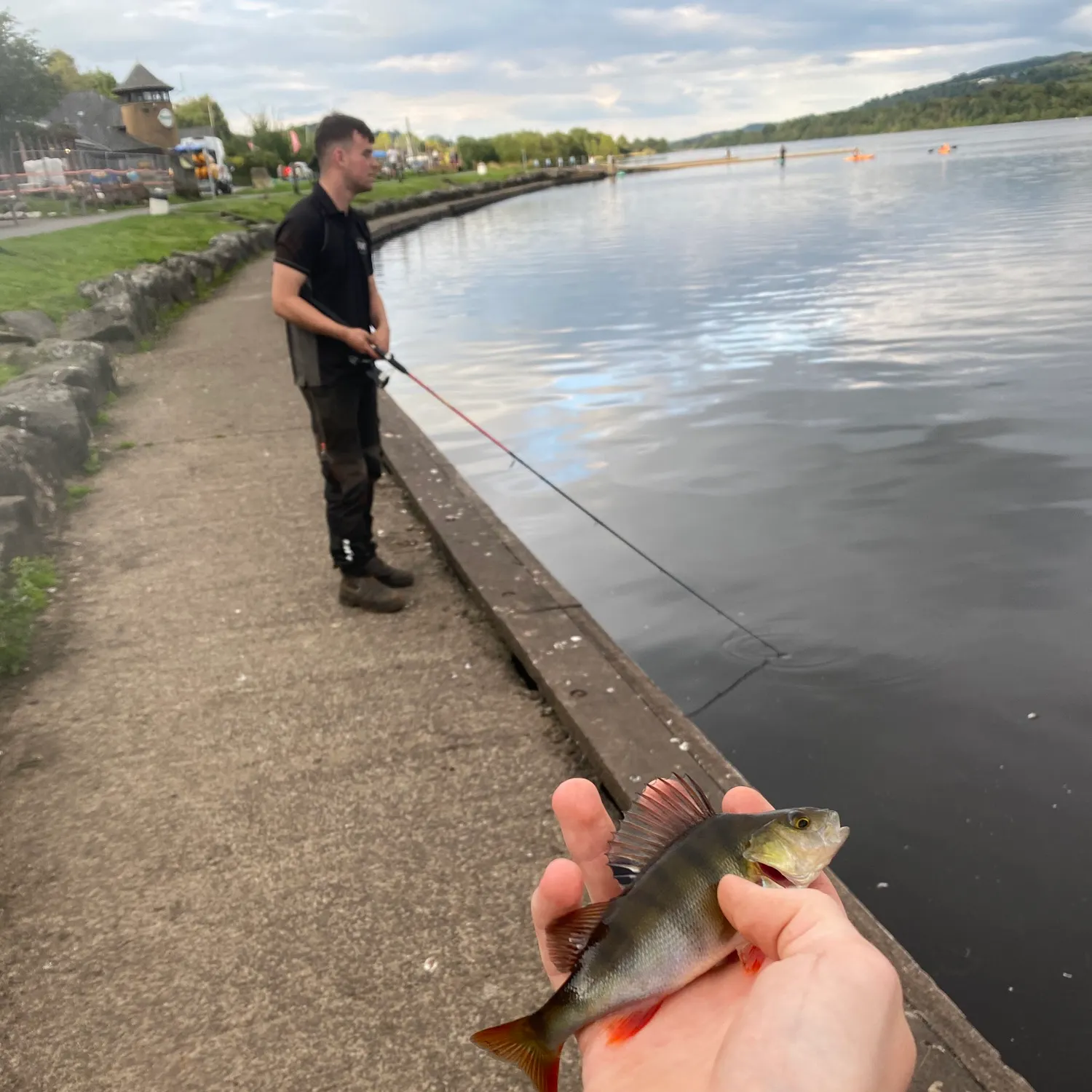 European perch caught on Fishbrain