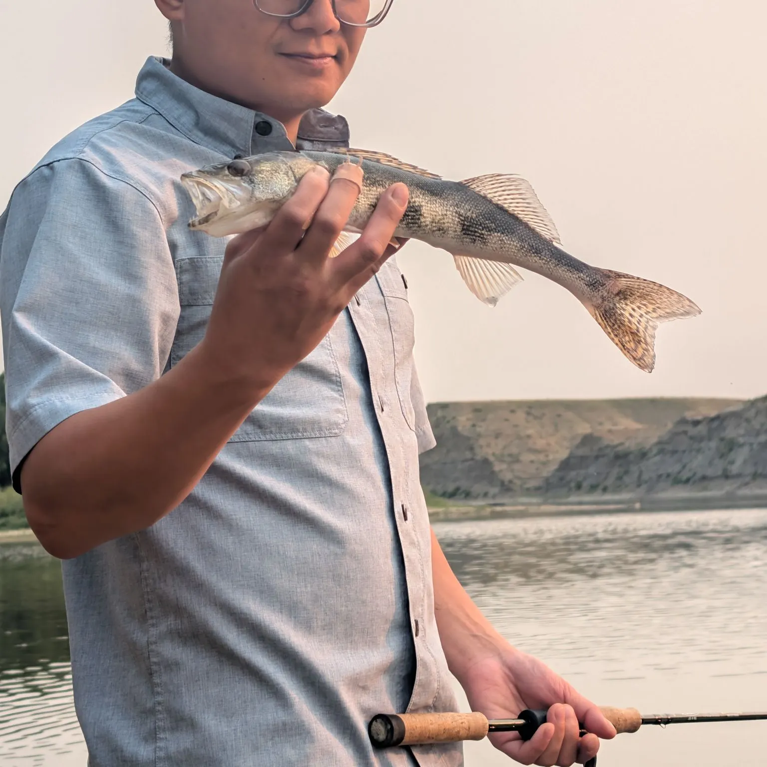 The most recent Sauger catches on Fishbrain