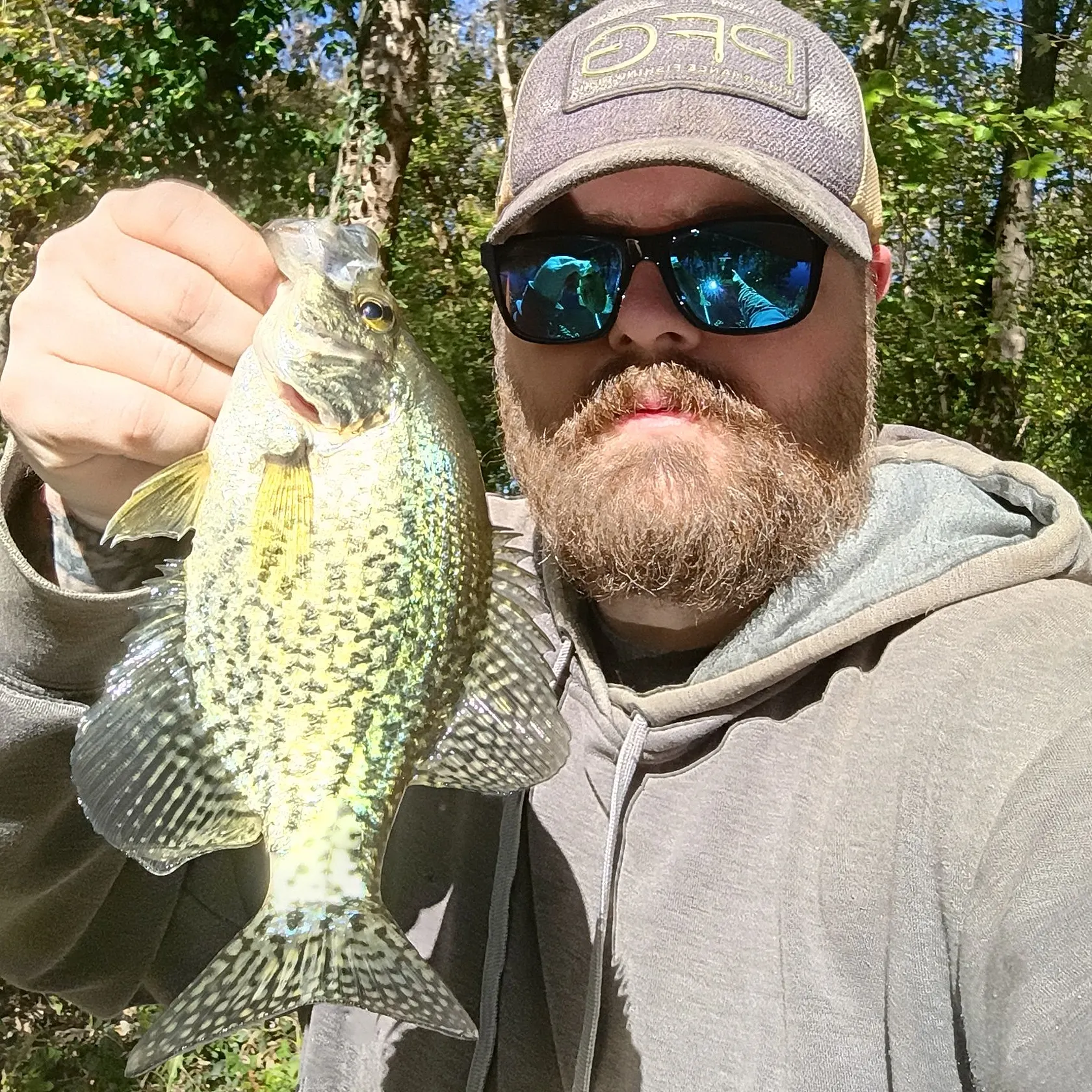 Black crappie caught on Fishbrain