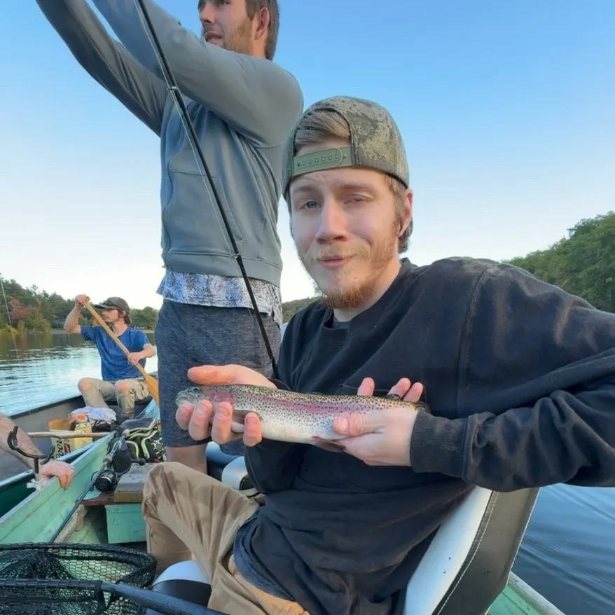 Rainbow trout caught on Fishbrain