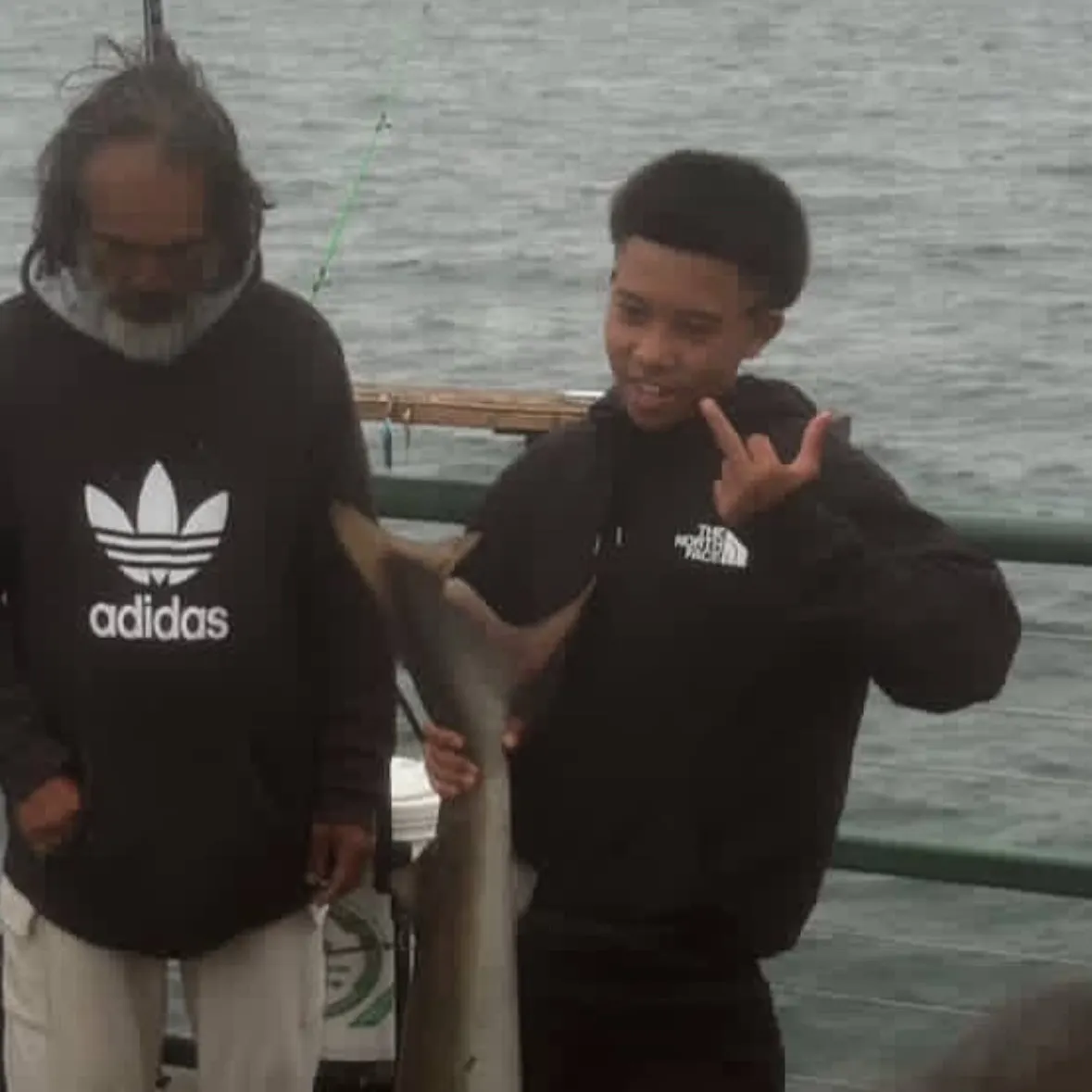 The most recent Tope shark catches on Fishbrain