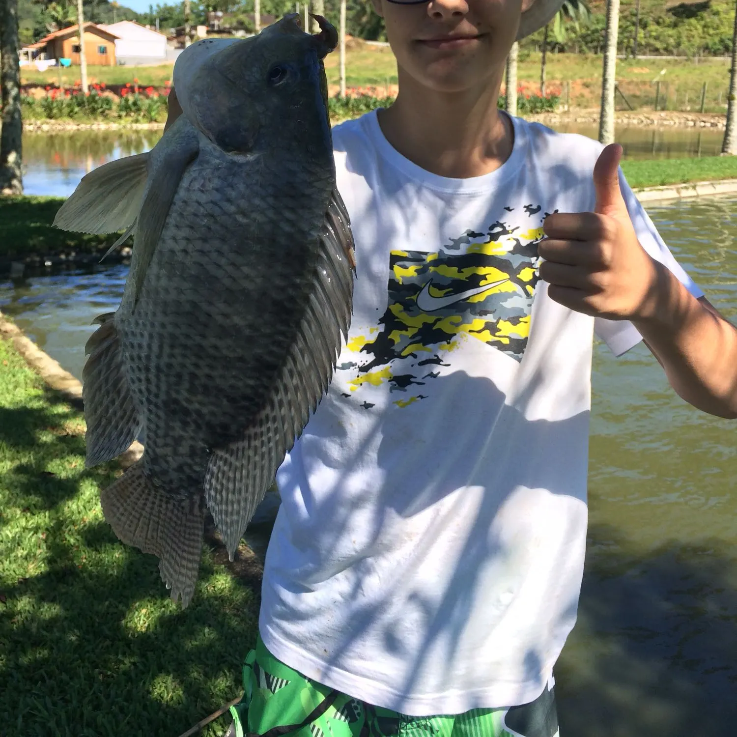 Redbreast tilapia caught on Fishbrain