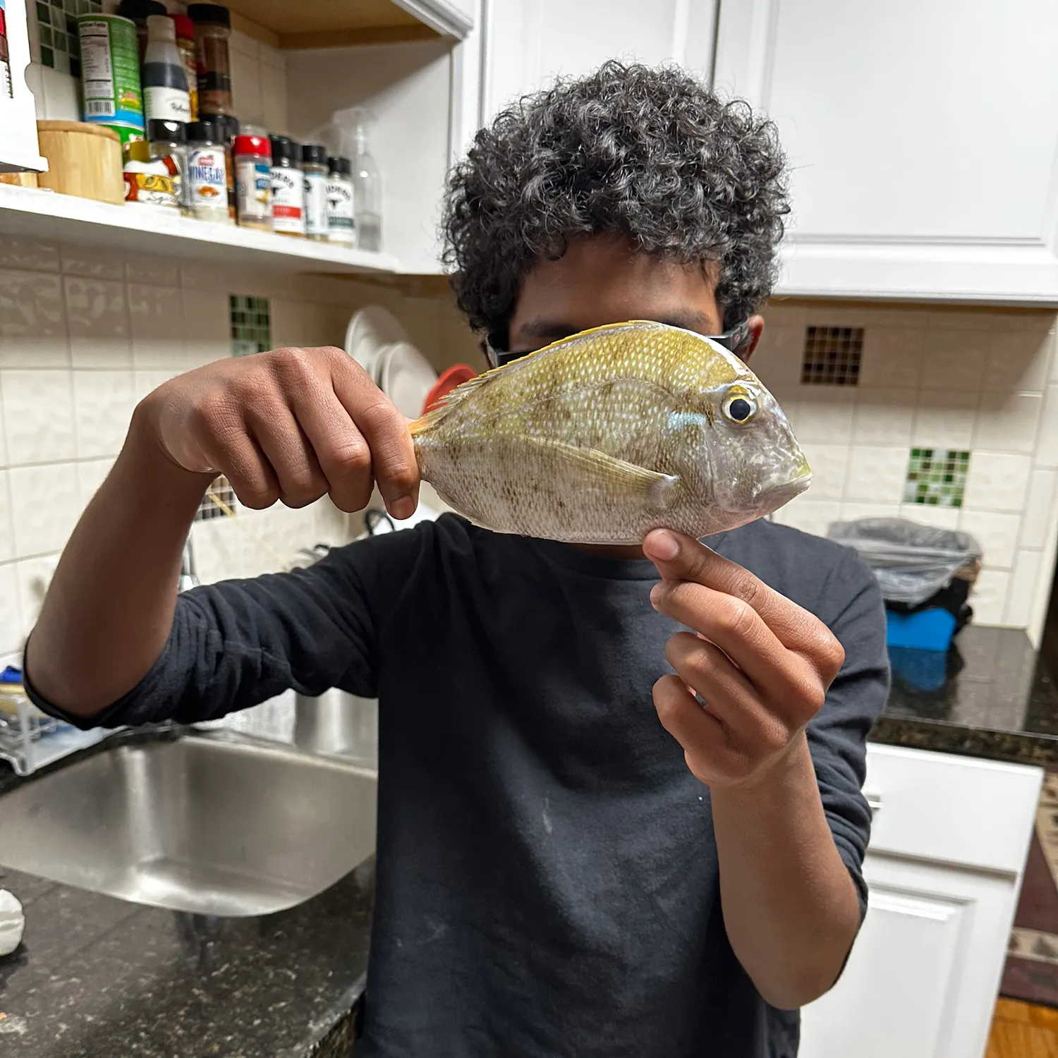 The most recent Scup catches on Fishbrain