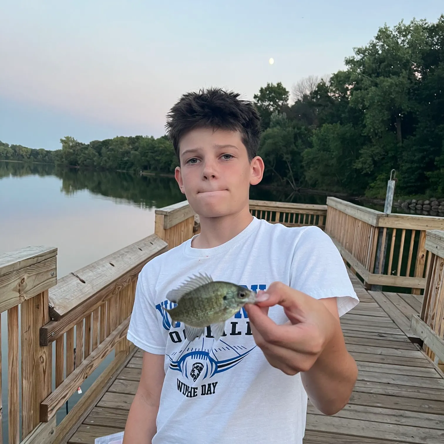 Bluegill caught on Fishbrain