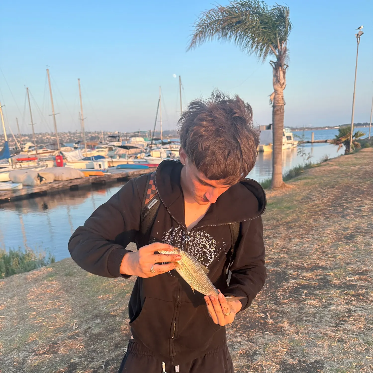 The most recent Longjaw bonefish catches on Fishbrain