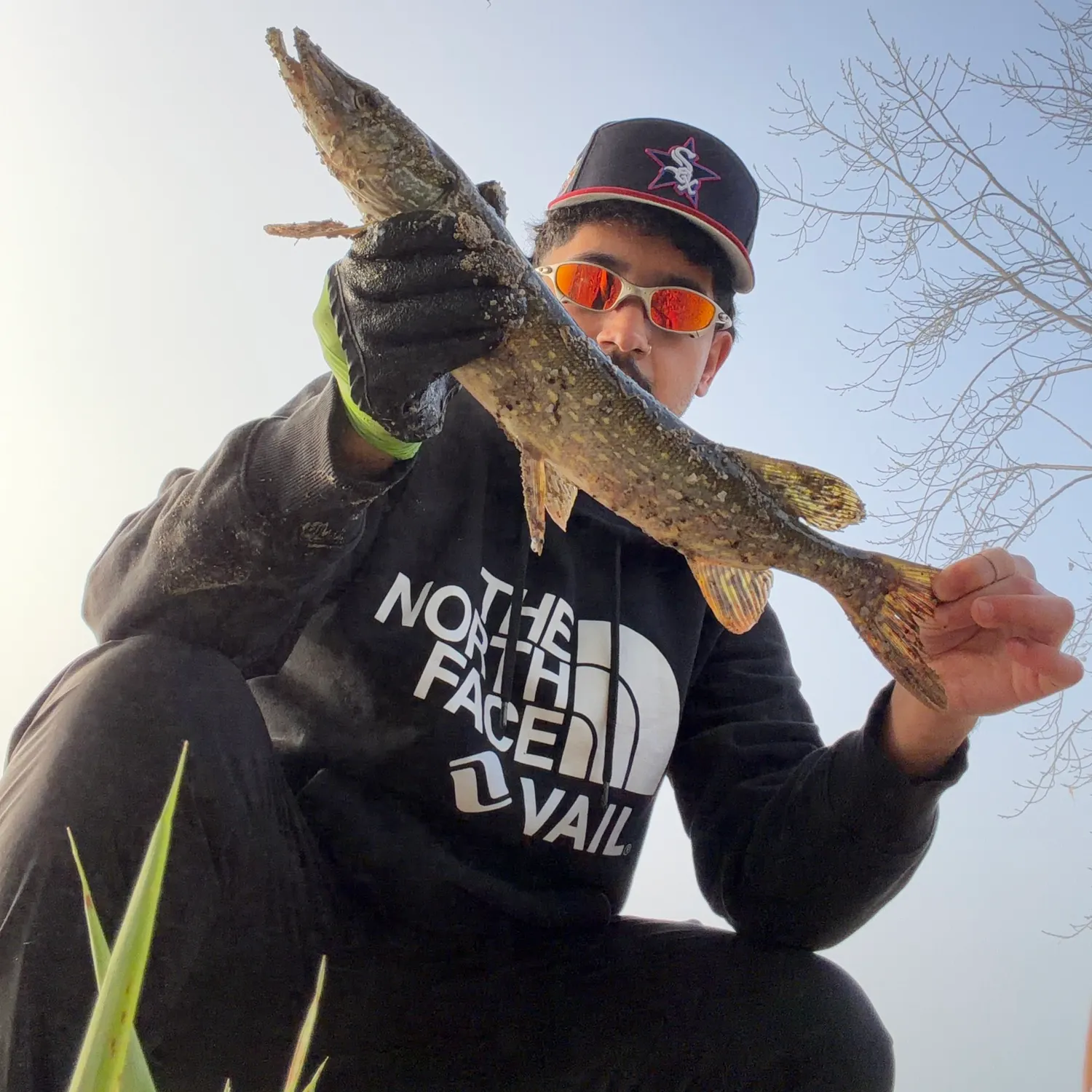 Fish caught on Fishbrain