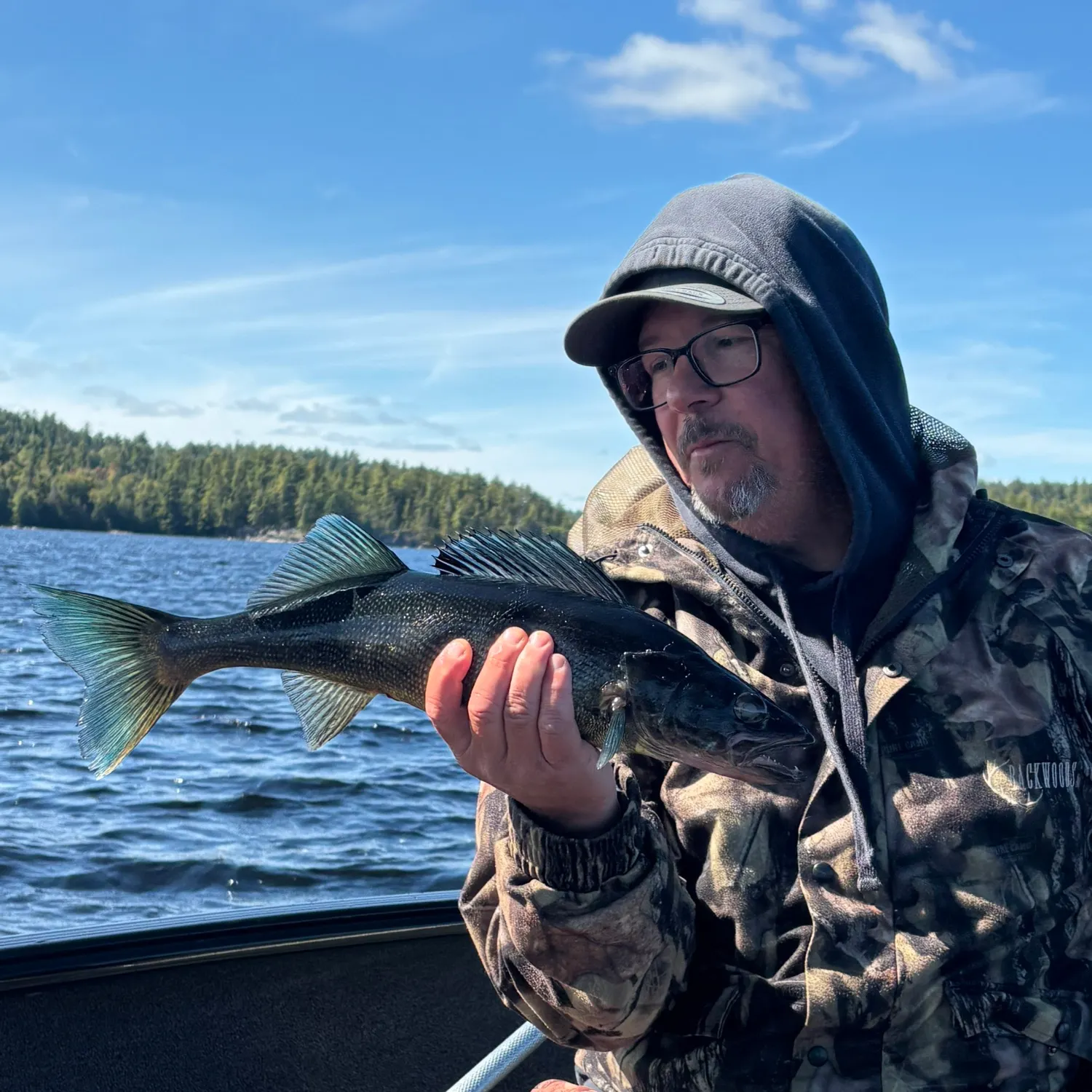 Walleye caught on Fishbrain