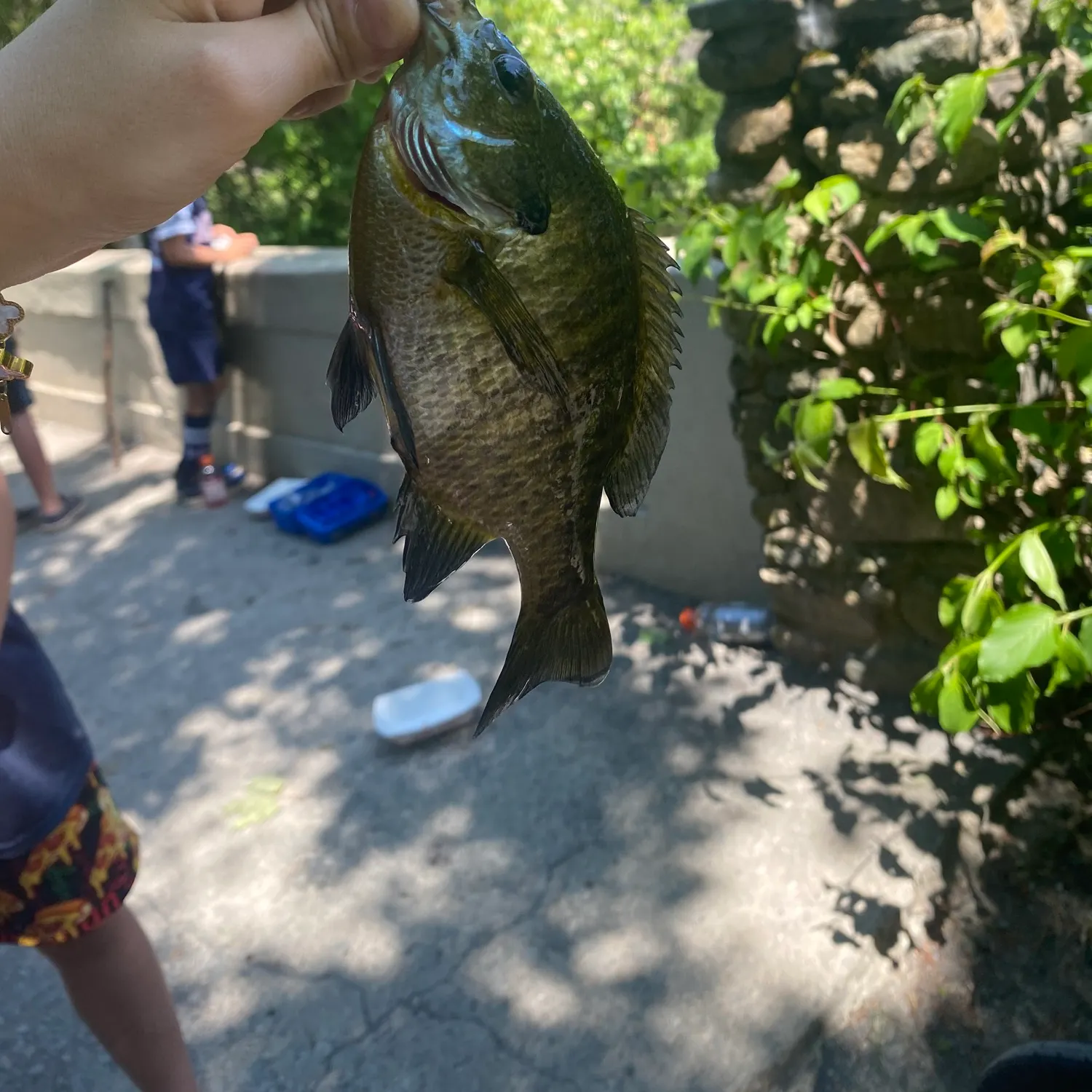 catch