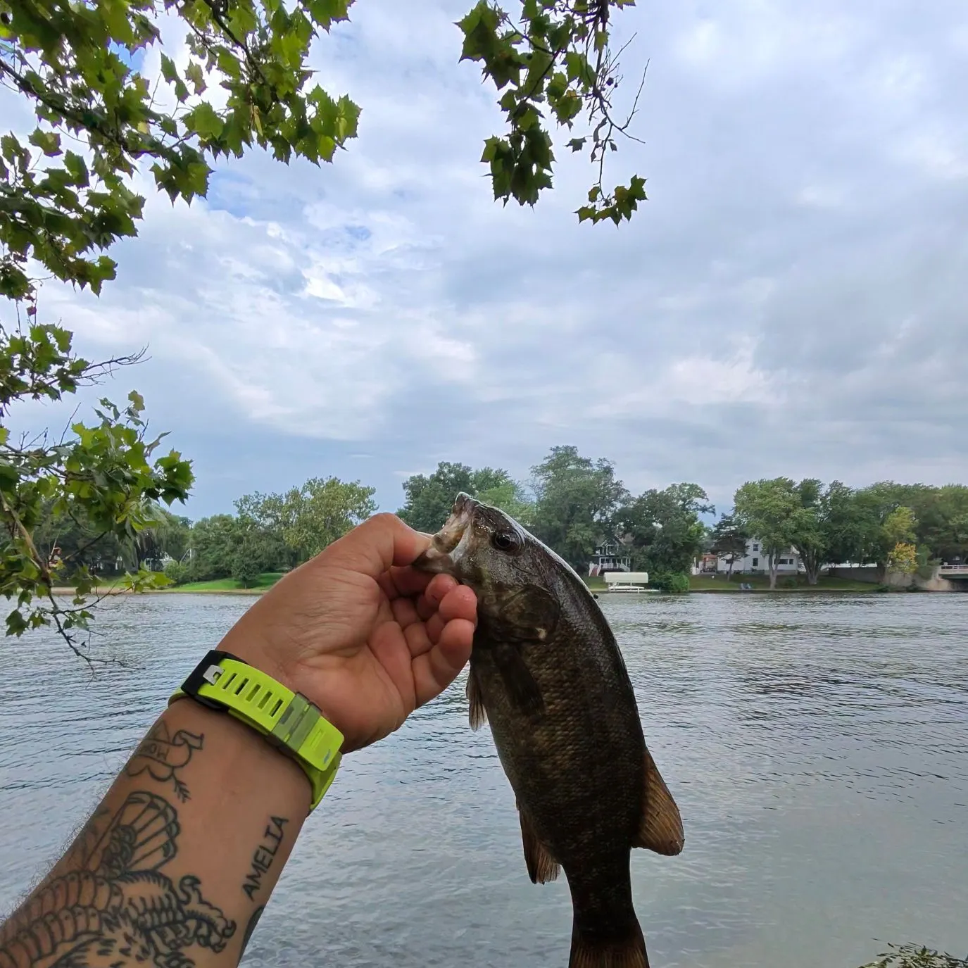 catch