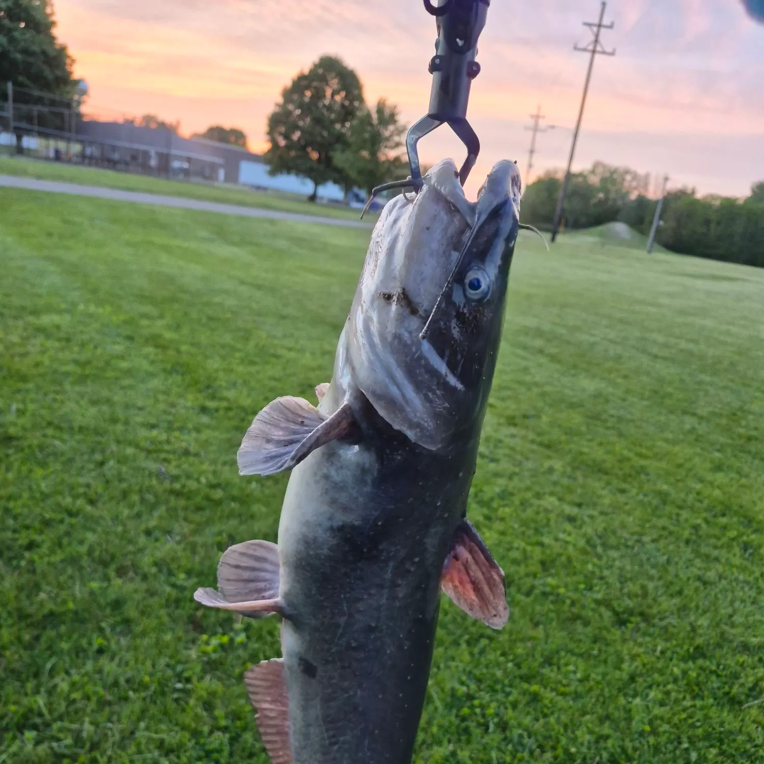 catch