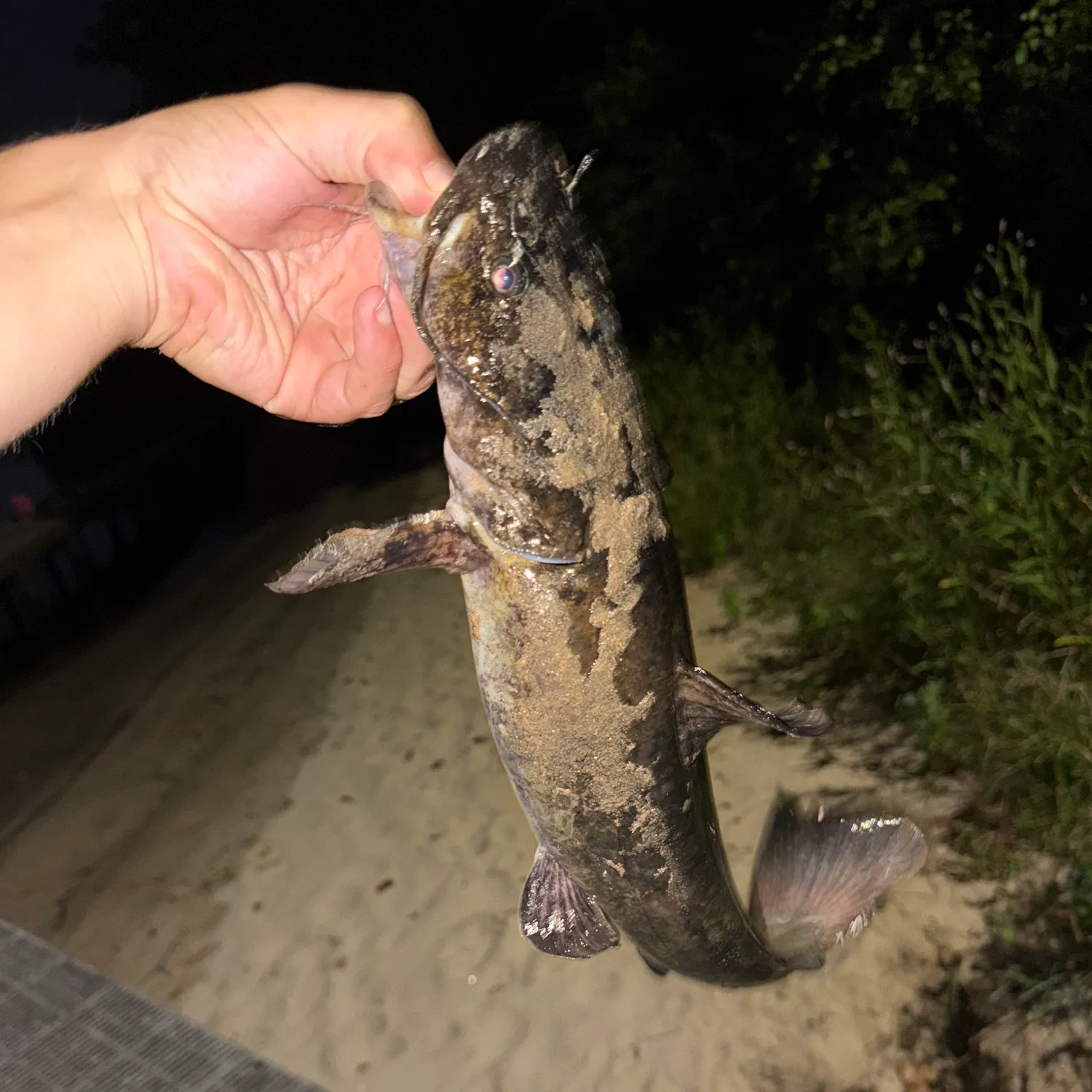 catch
