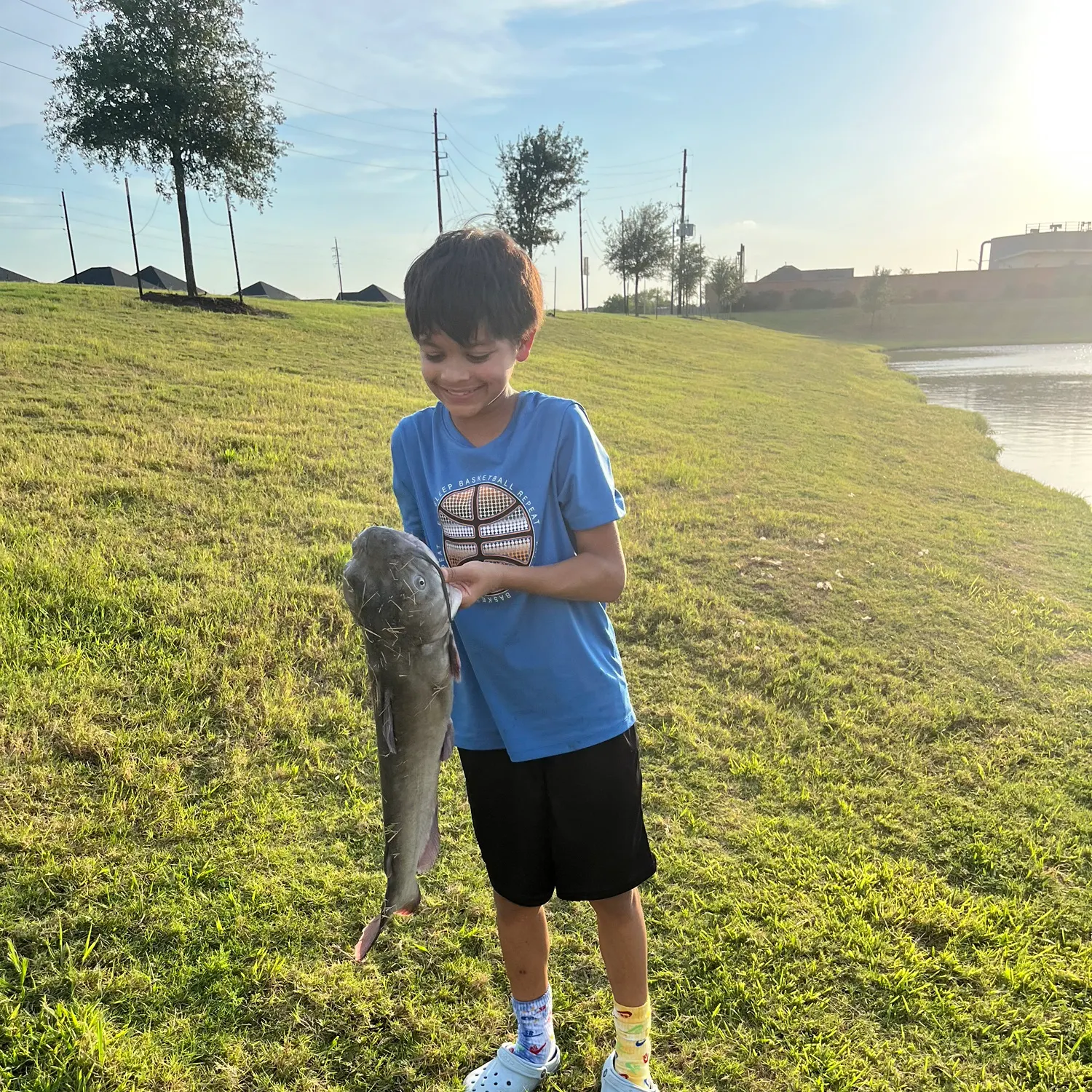 The most recent Black bullhead catches on Fishbrain
