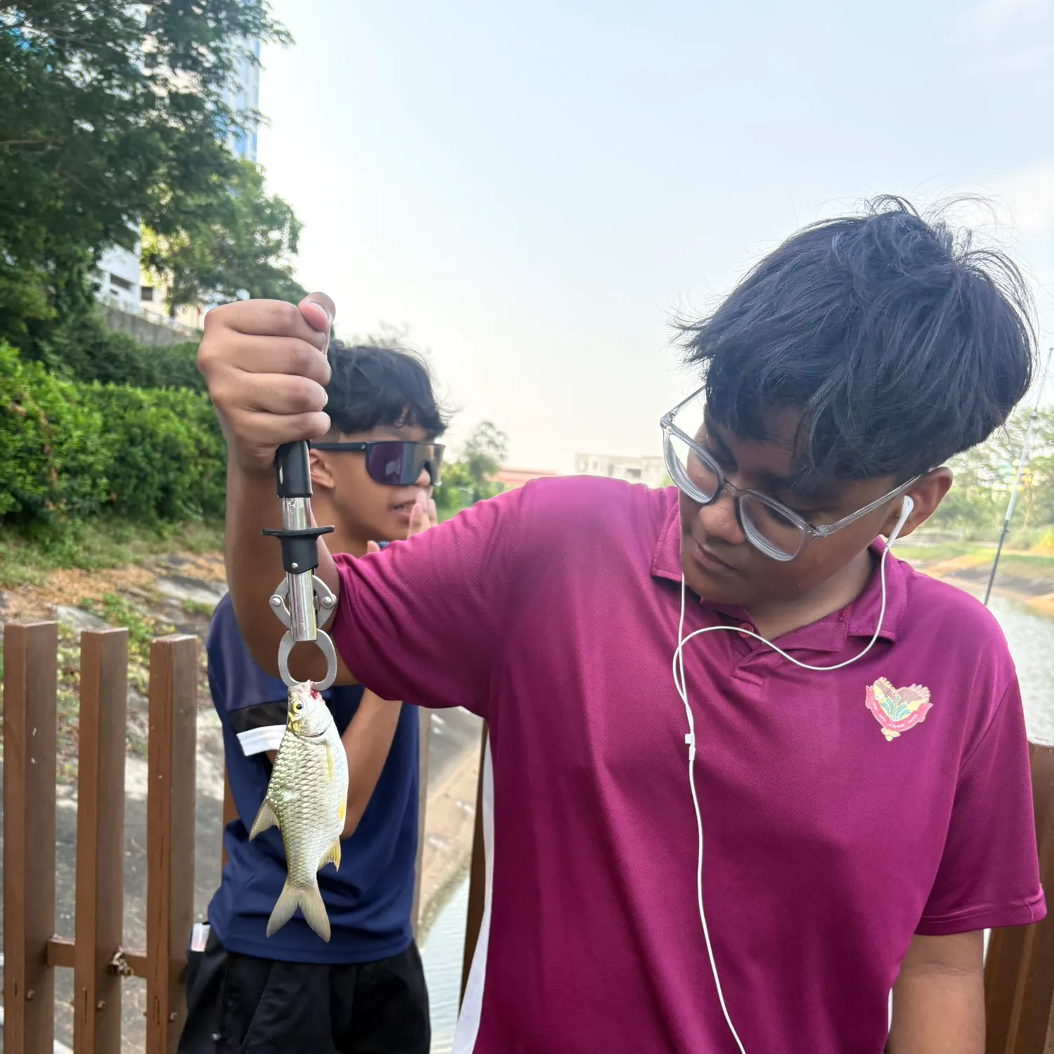 Java barb caught on Fishbrain