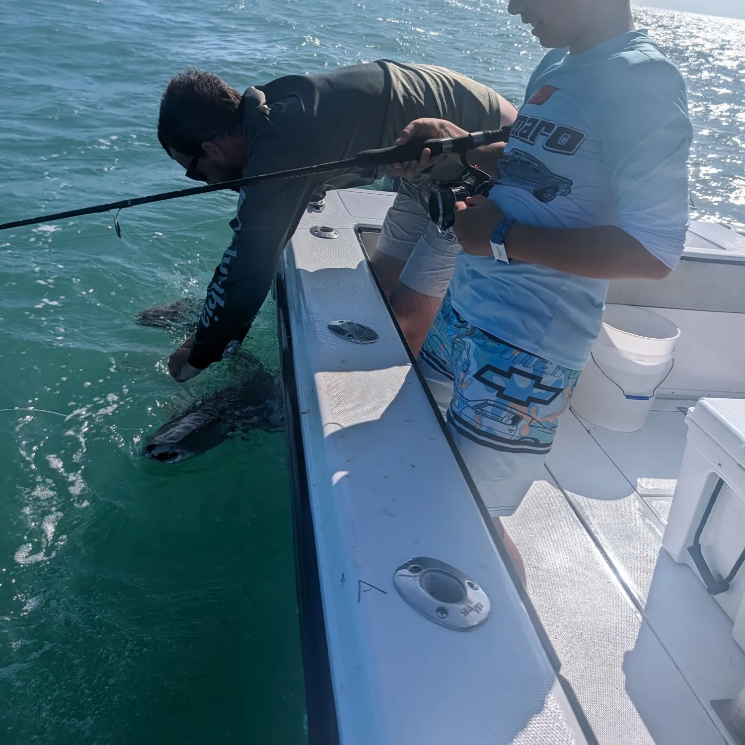 The most recent Nurse shark catches on Fishbrain