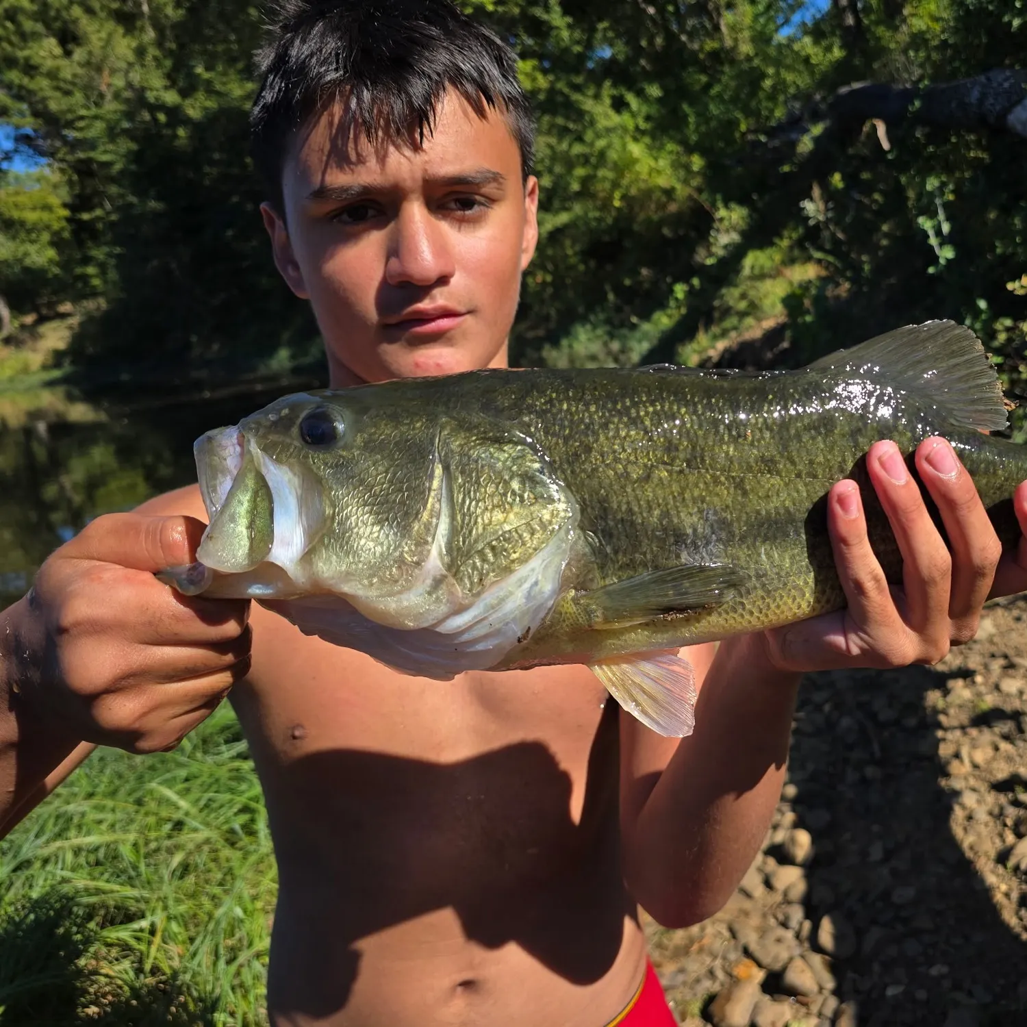 Largemouth bass caught on Fishbrain