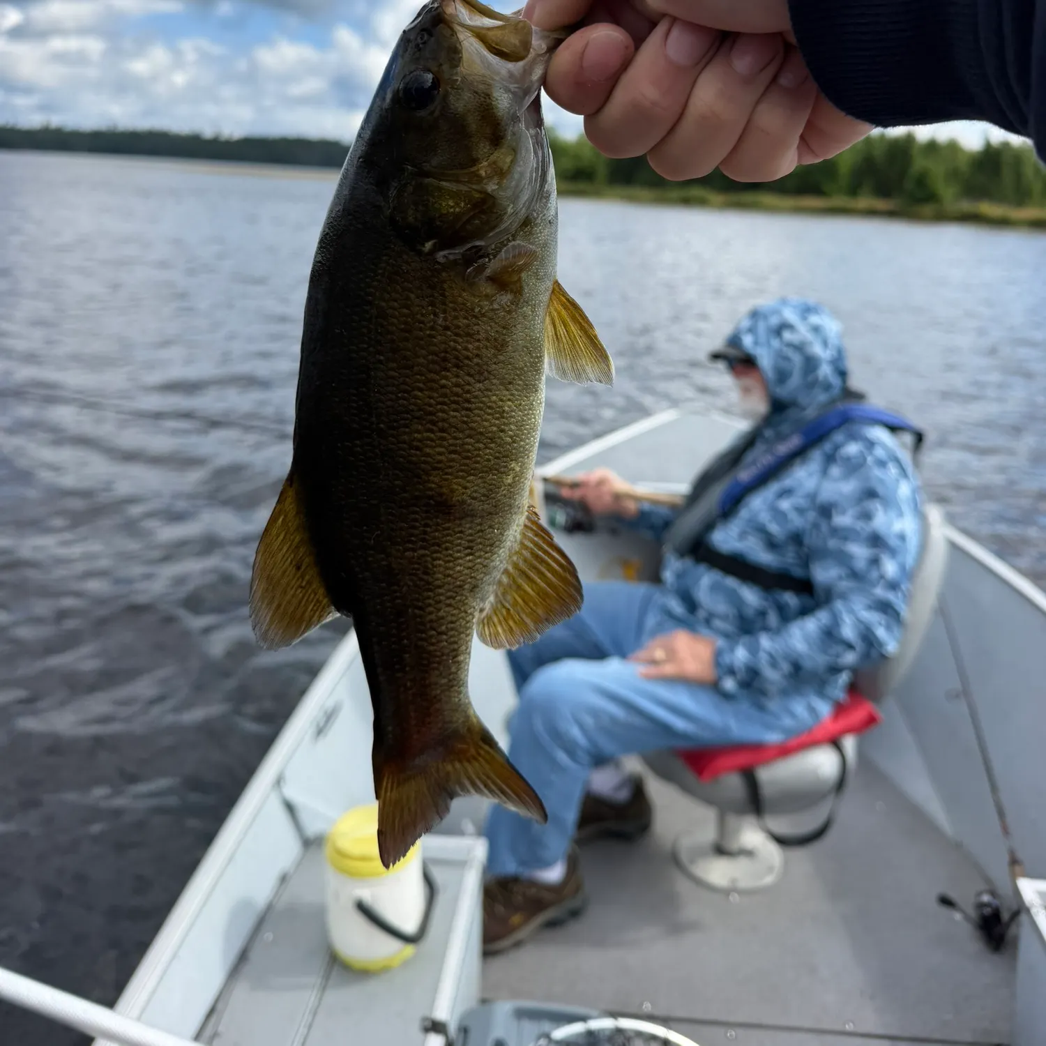 Smallmouth bass caught on Fishbrain
