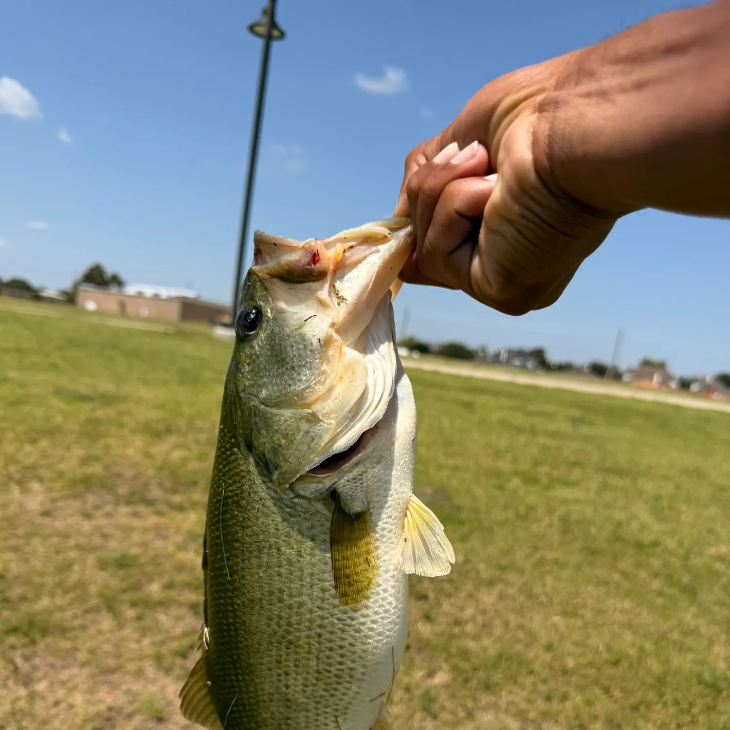 catch