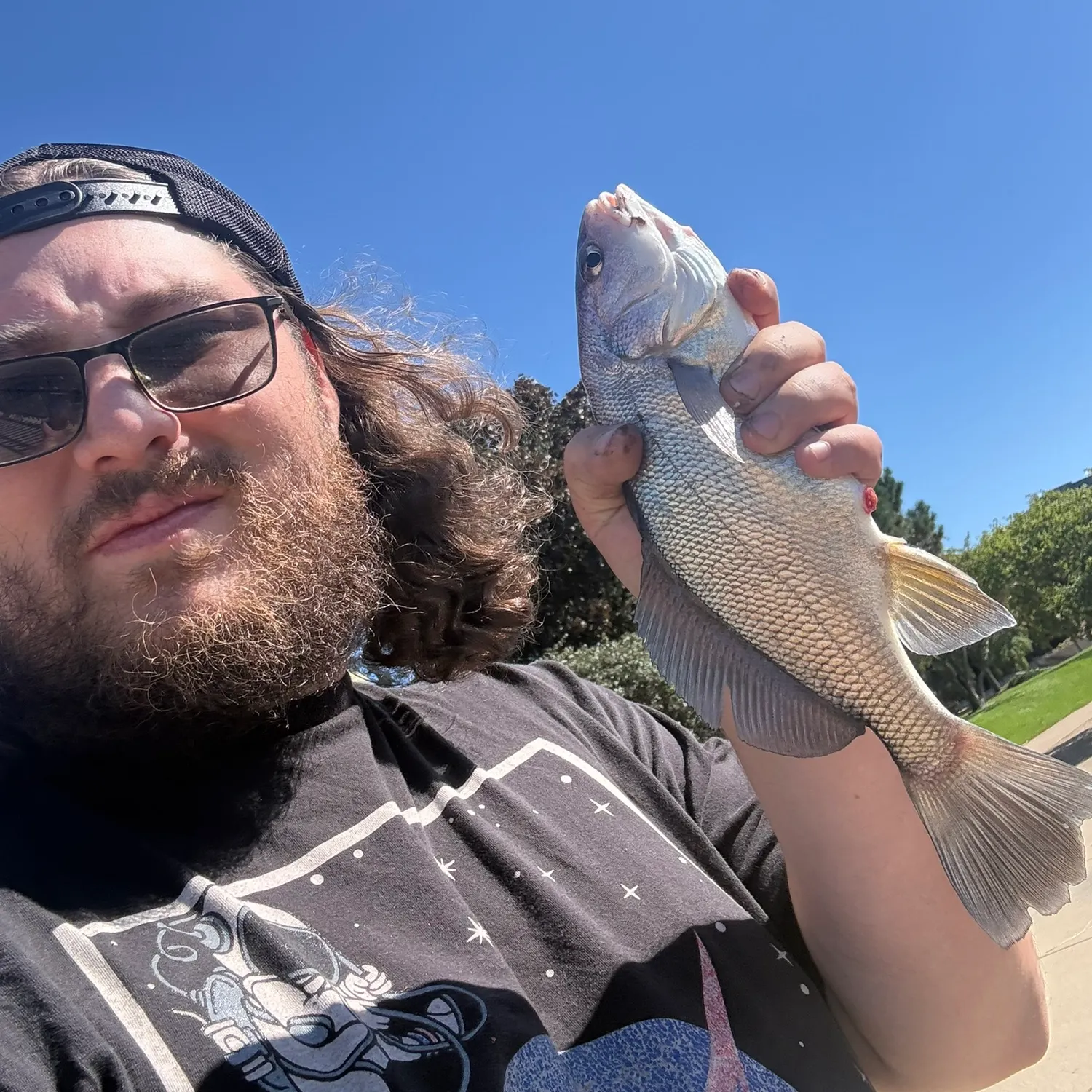 Freshwater drum caught on Fishbrain