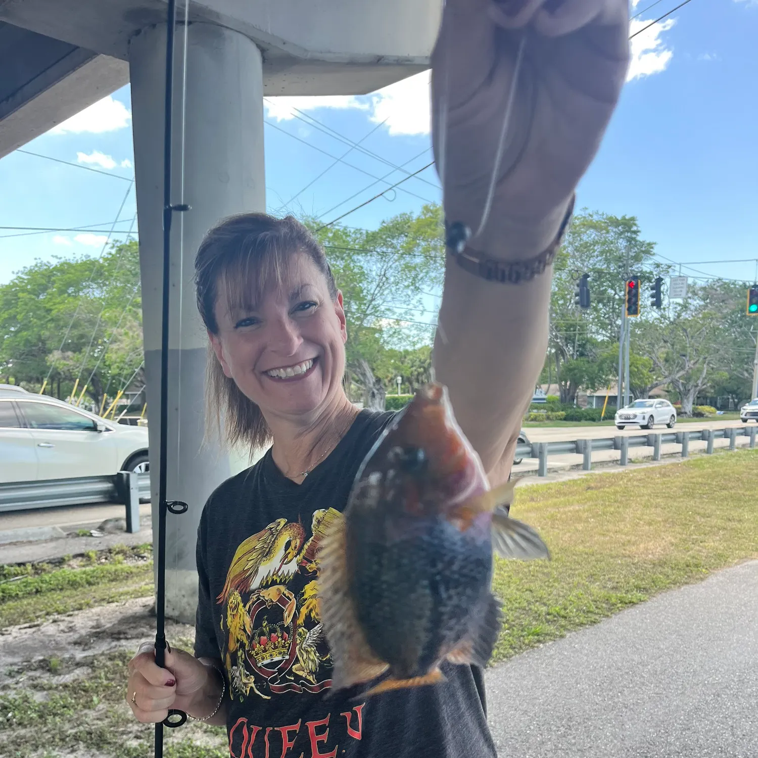 The most recent Sheepshead catches on Fishbrain