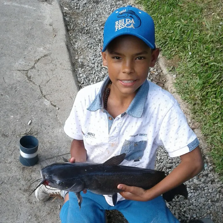 angler catch