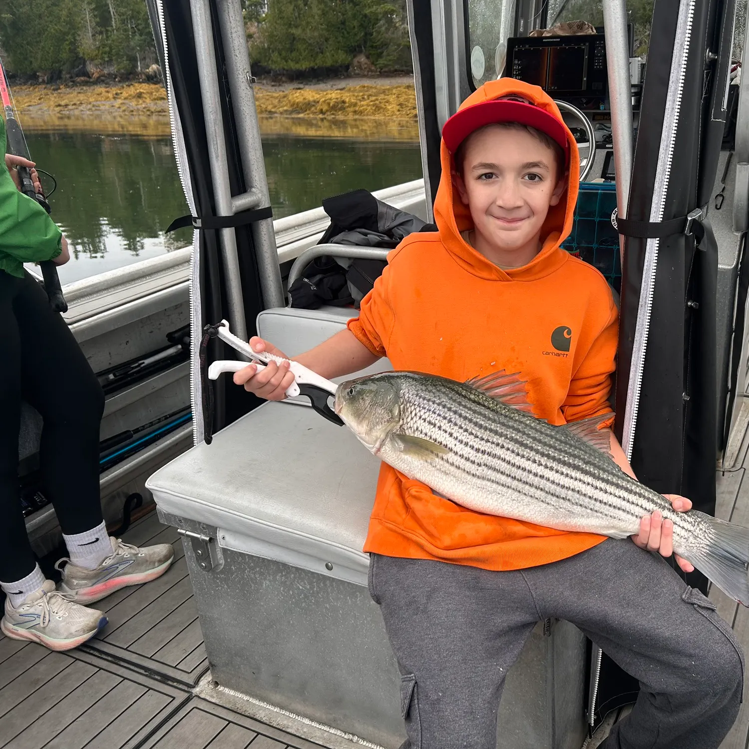 Striped bass caught on Fishbrain