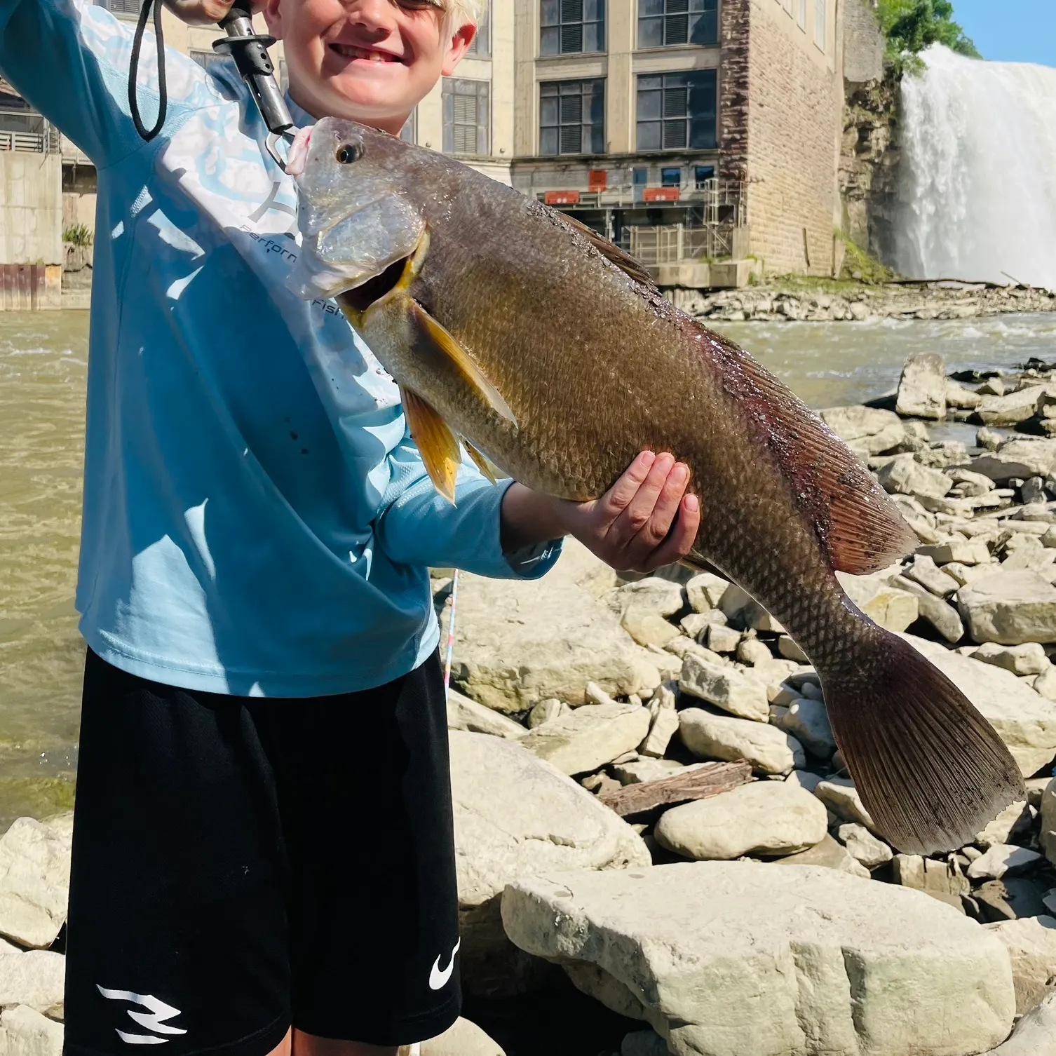 The most recent Freshwater drum catches on Fishbrain