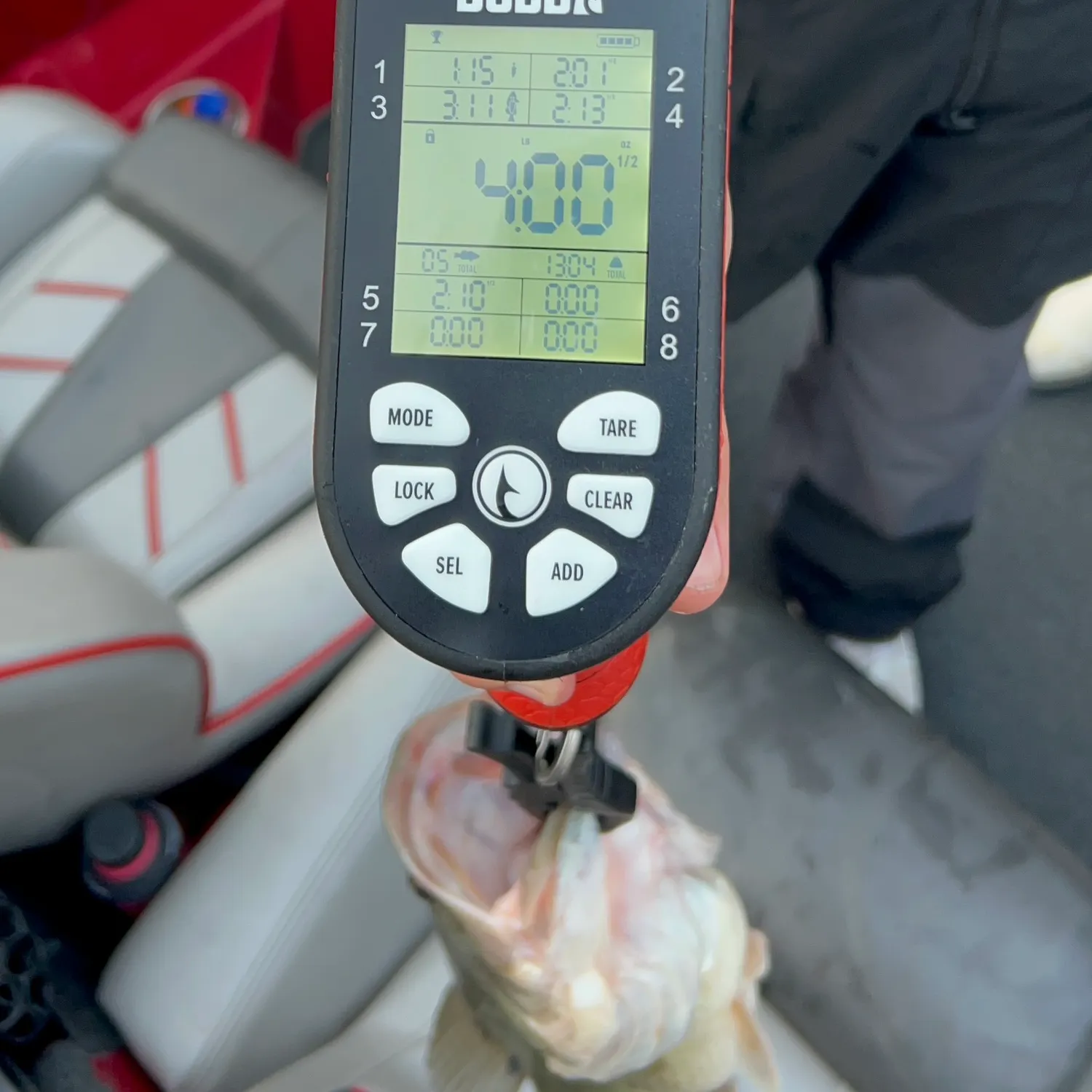 recently logged catches