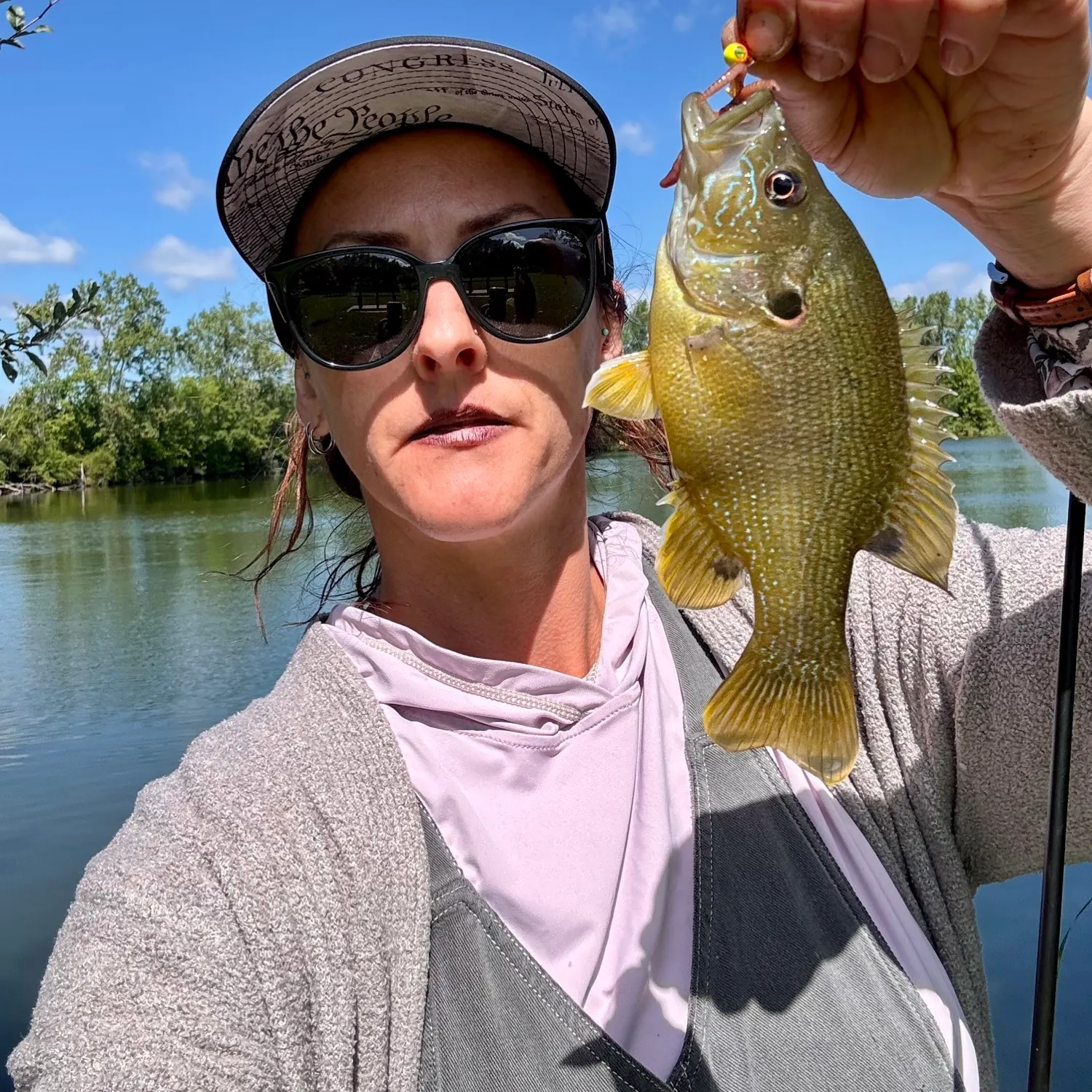 Green sunfish caught on Fishbrain